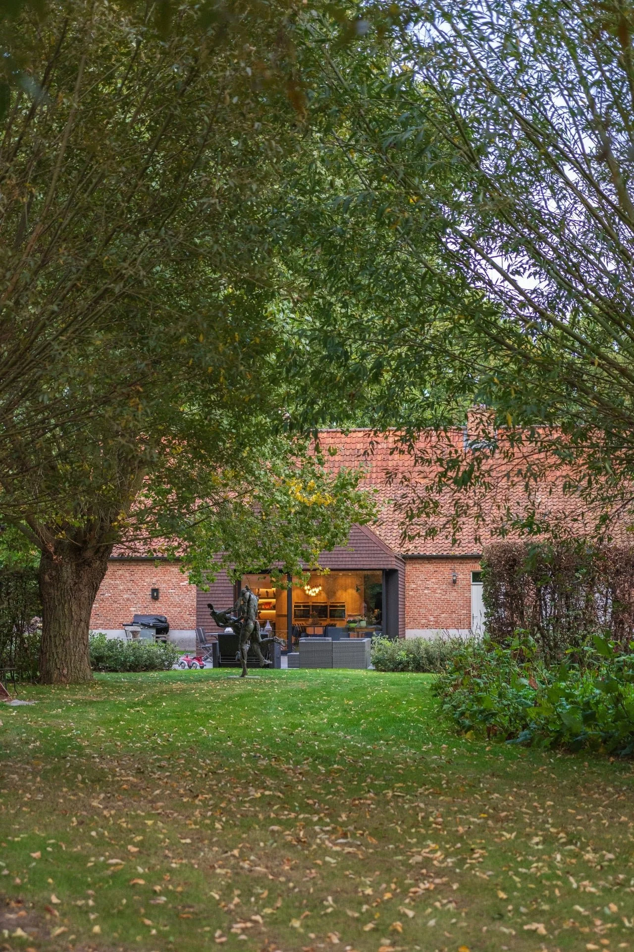 Knotwilg voor de oude schuur [landelijk]