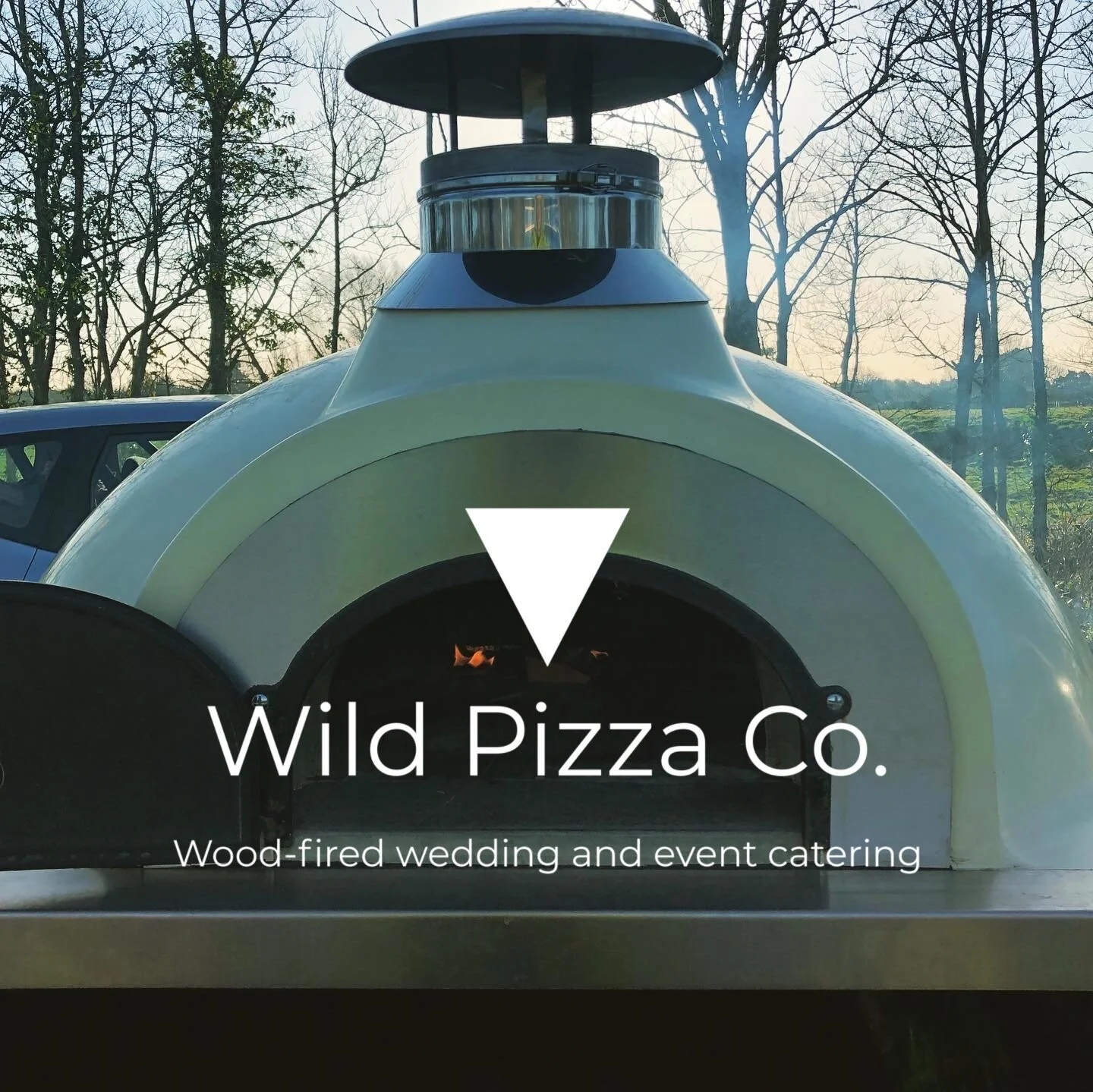 Wood fired pizza oven