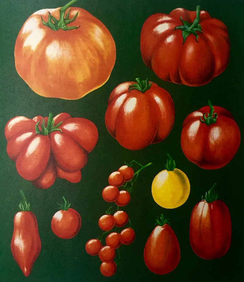 vollwerttisch_manifest_tomate.jpg