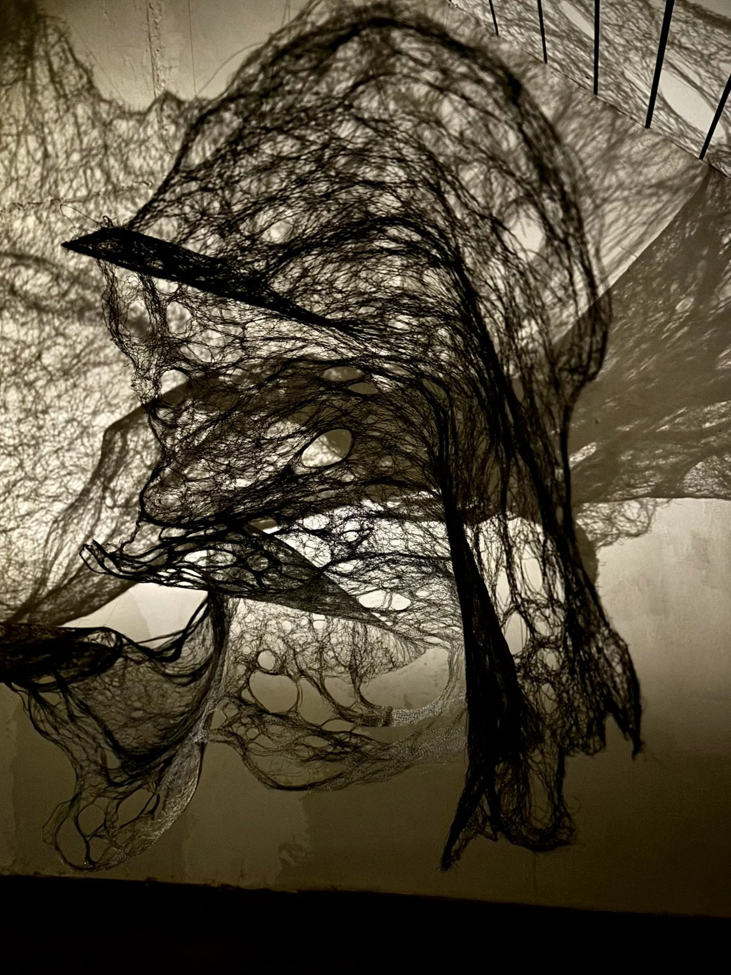 Lignes de vie