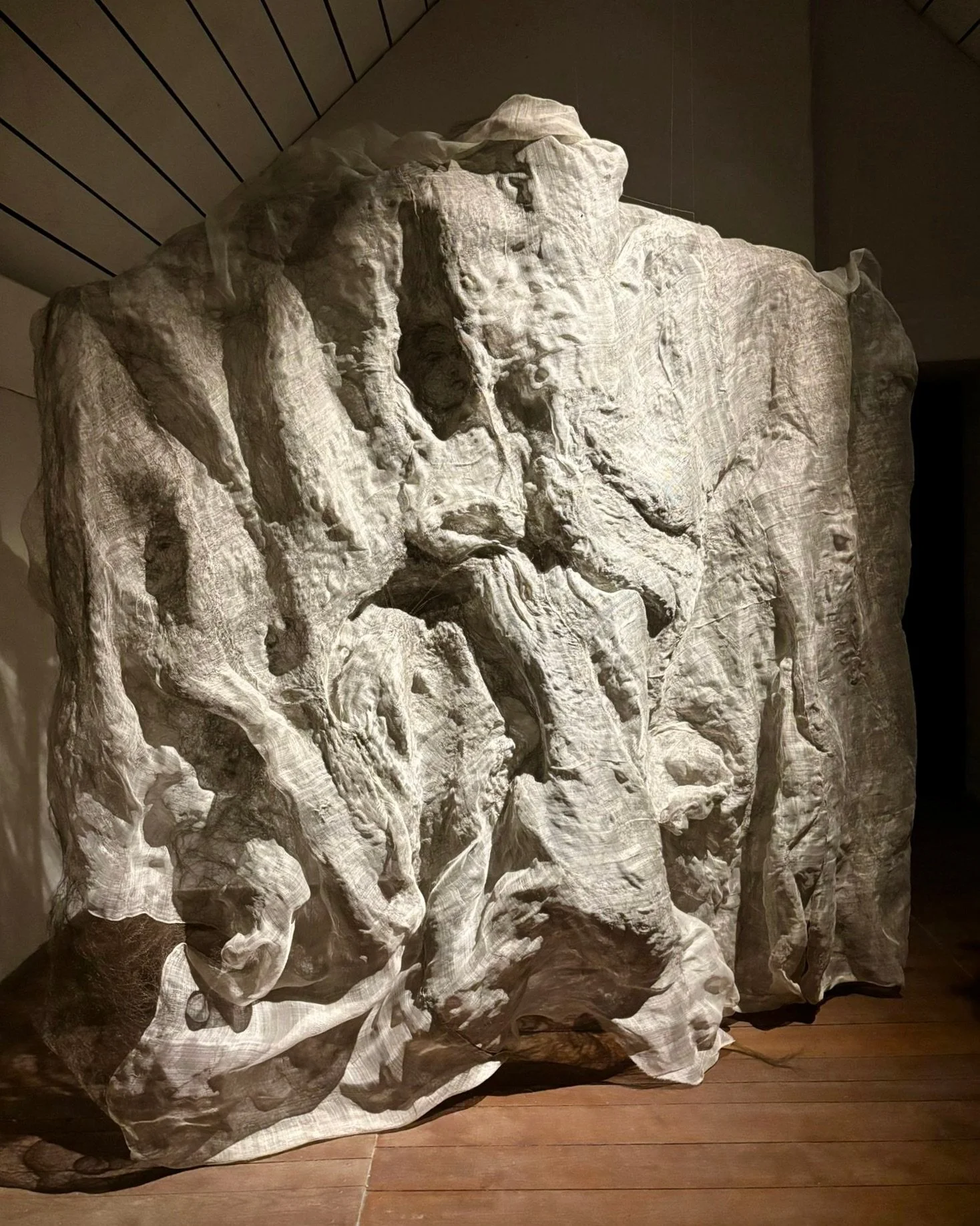 Le dos du monde