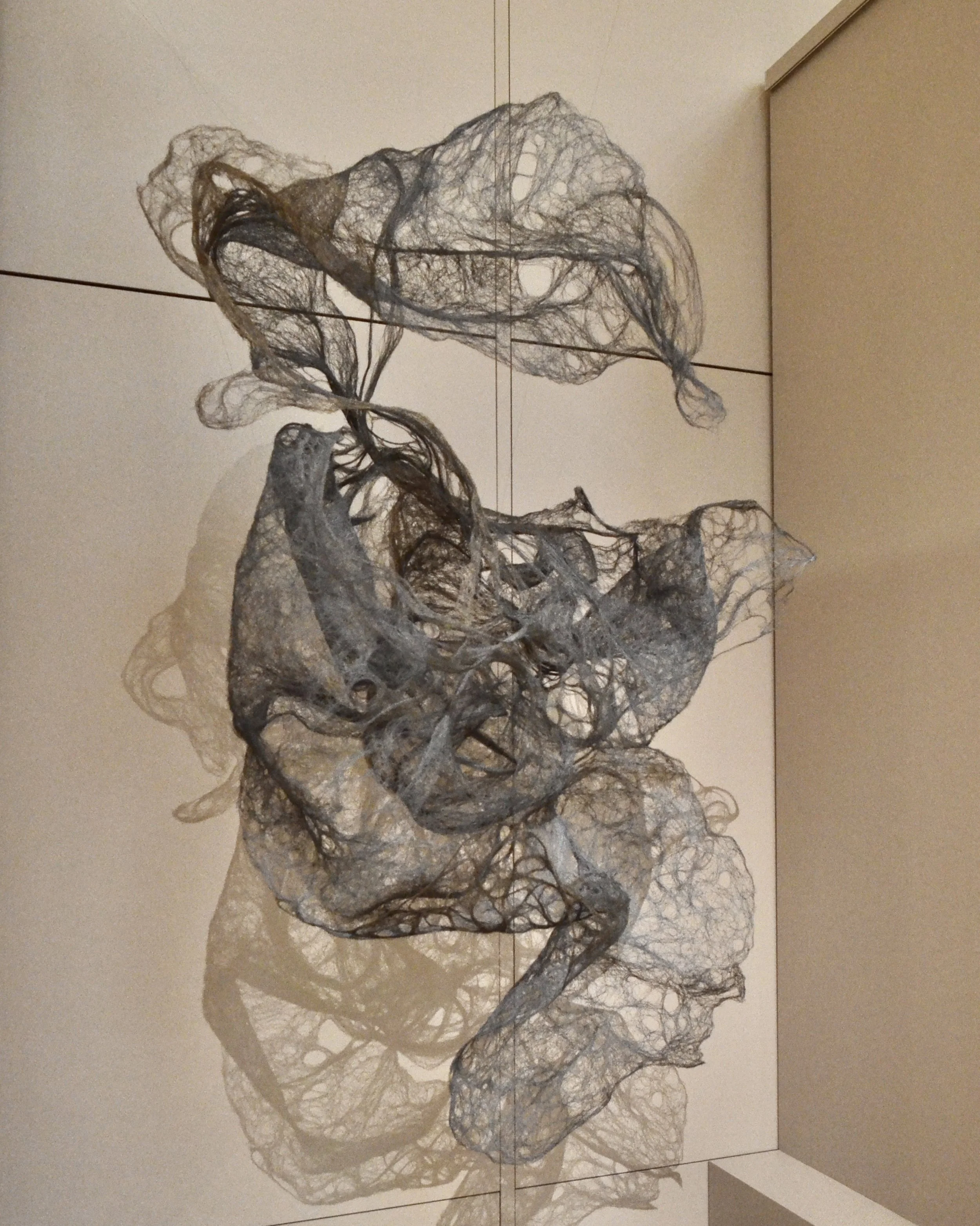DSC_0698.jpeg