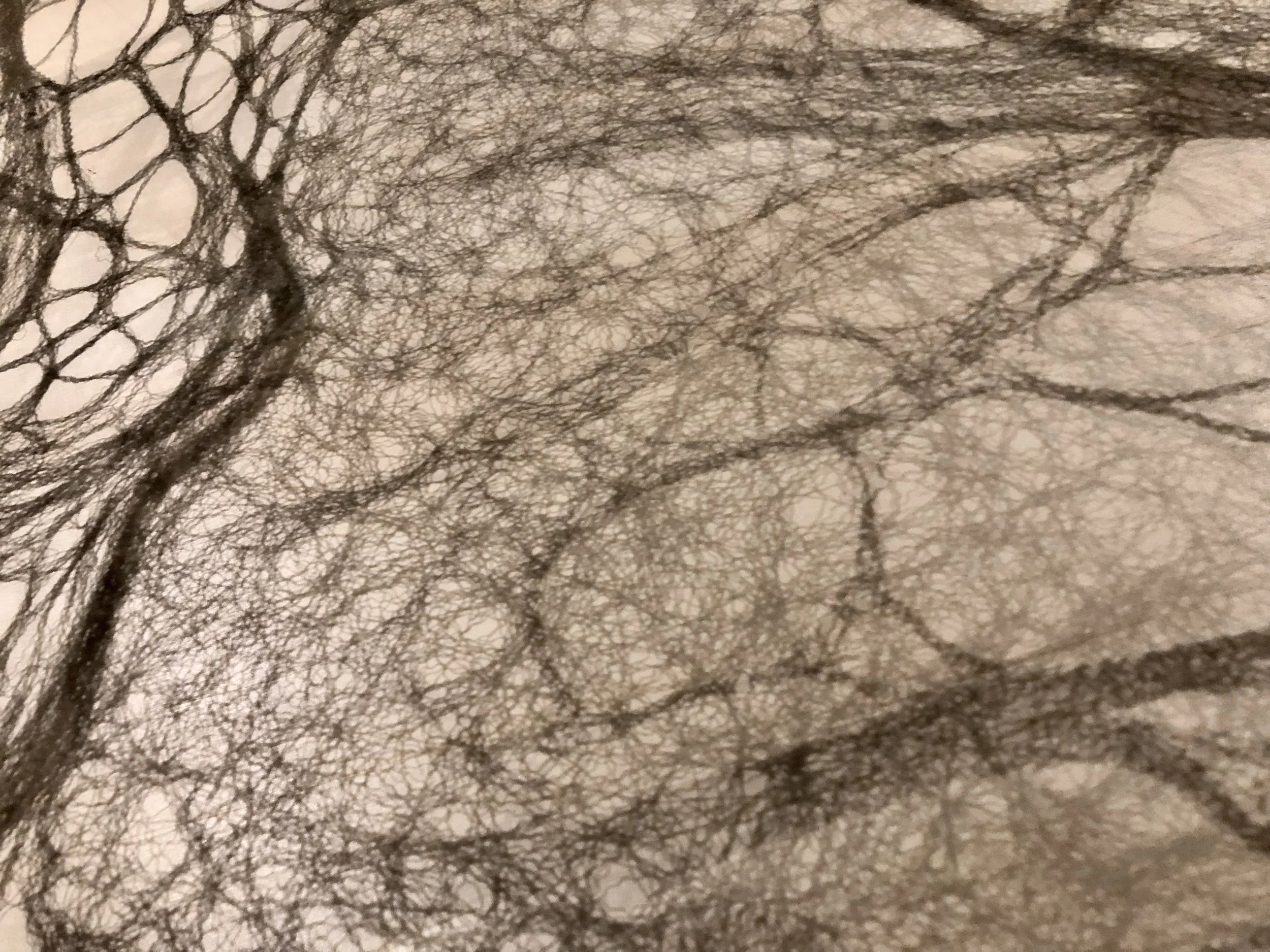 Lignes de vie 2019 - Création57