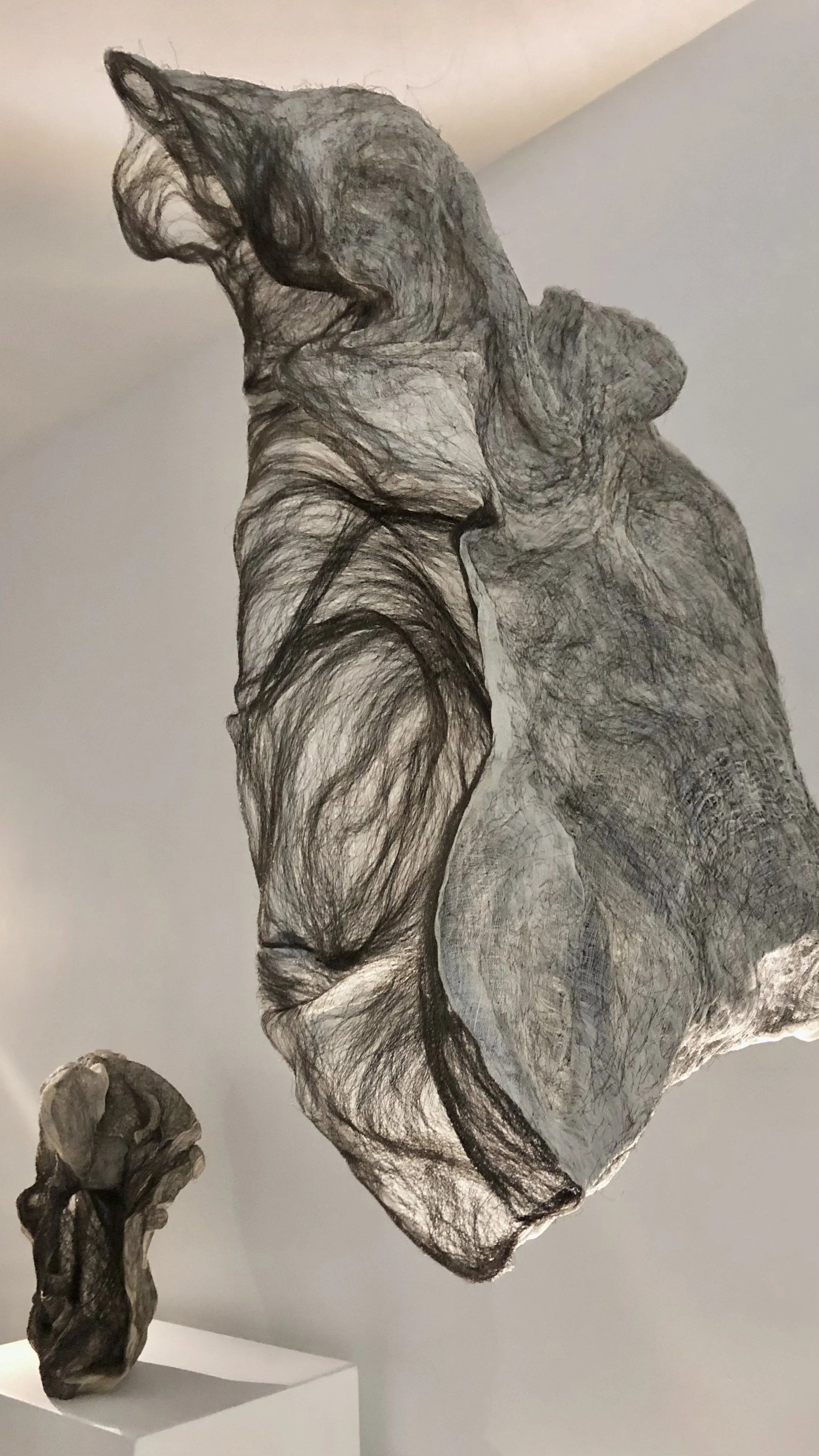 Silicate - Micki Chomicki gallery
