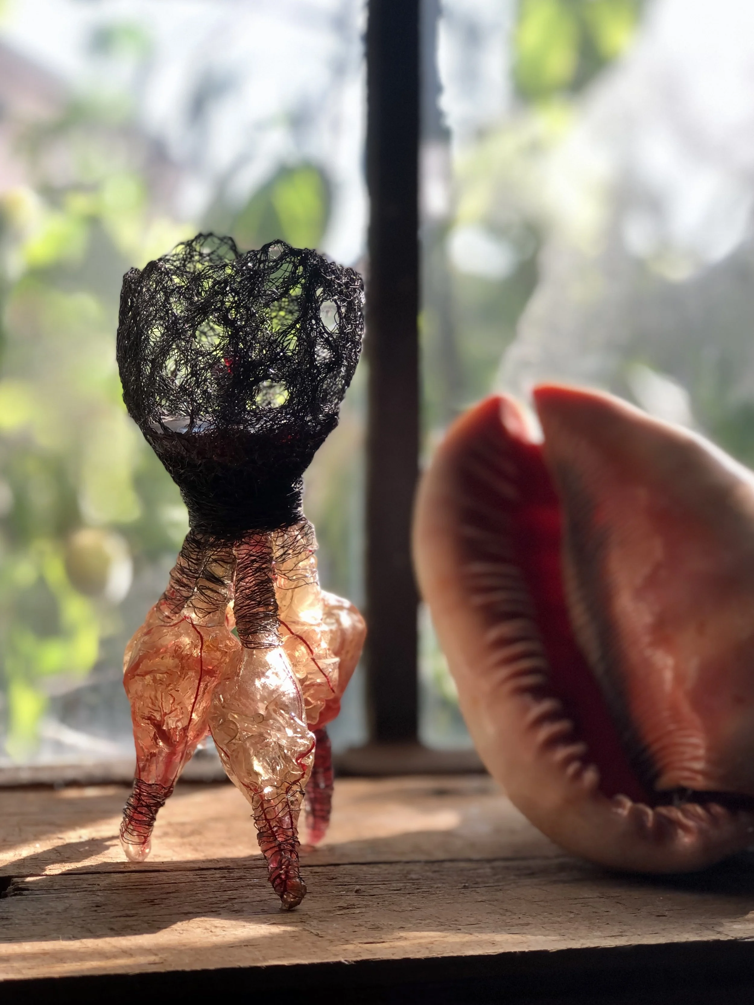 Miscanthus - La menuiserie