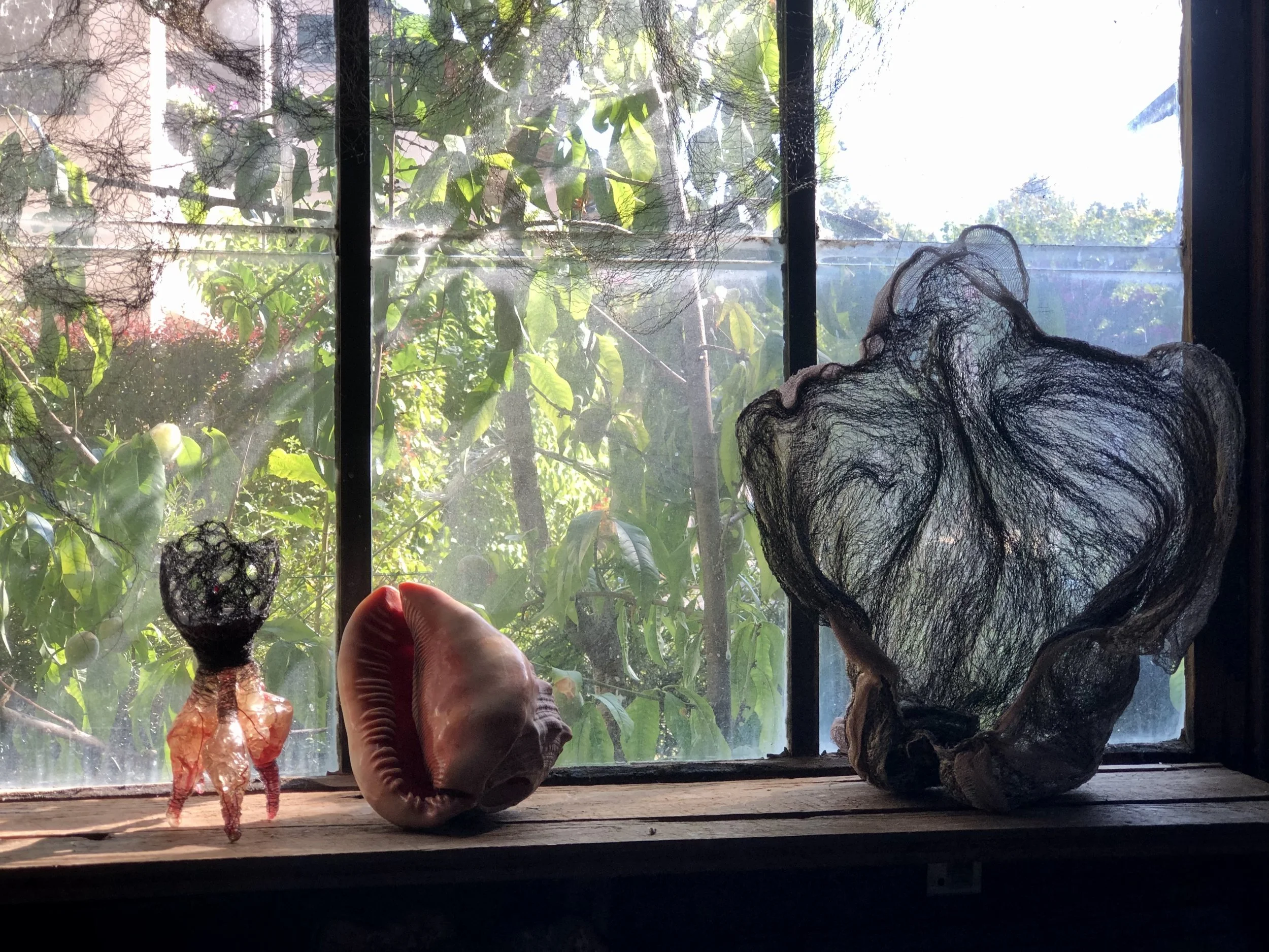 Miscanthus - La menuiserie