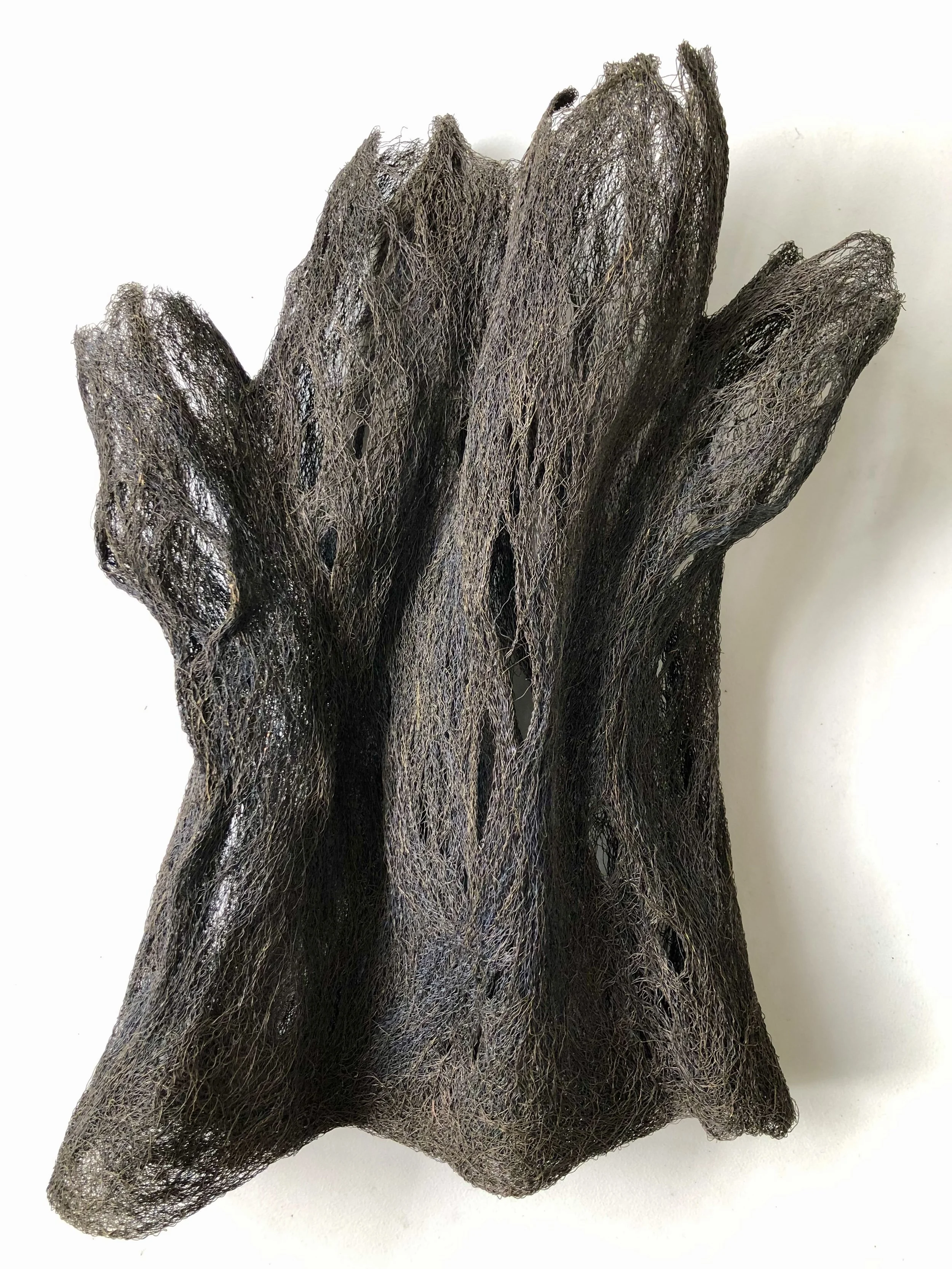 Callixylon - La menuiserie