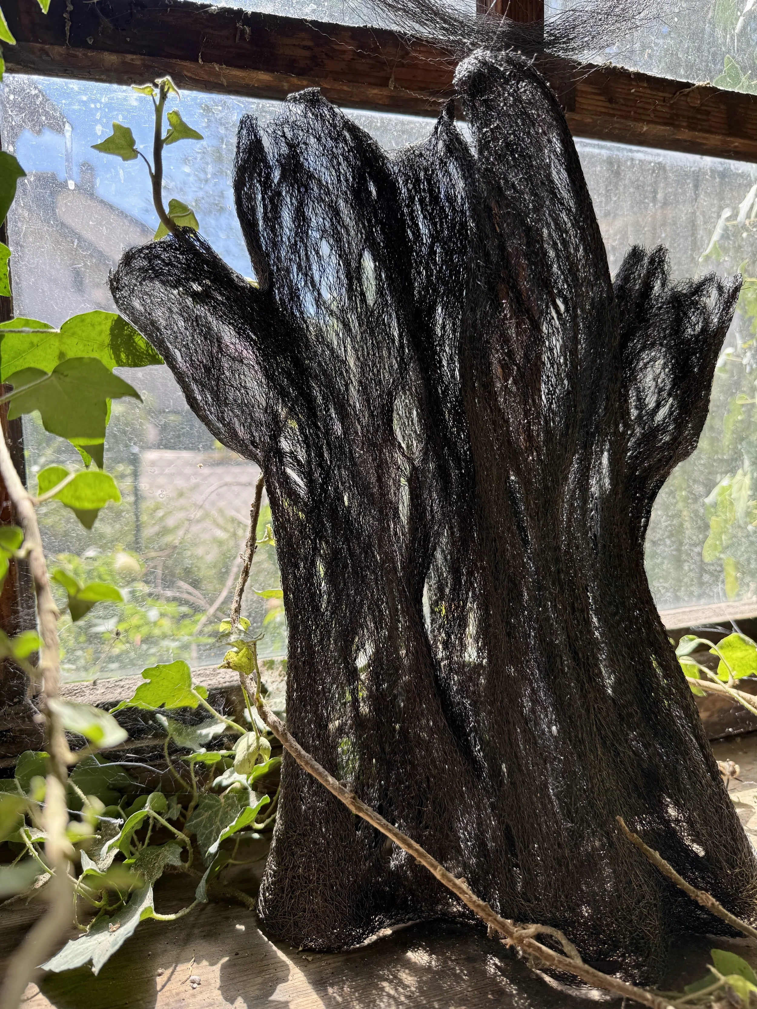 Callixylon - La menuiserie