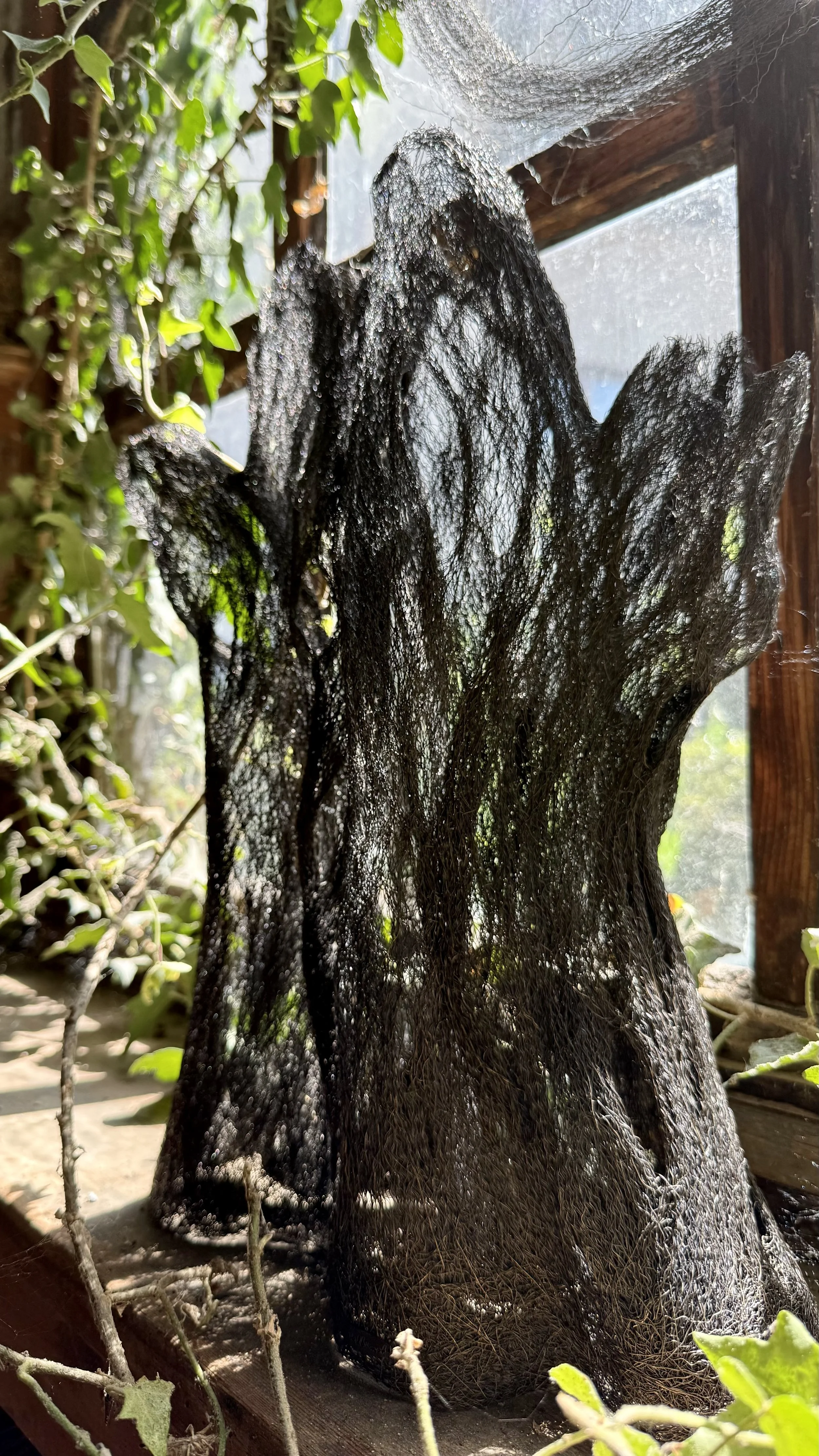 Callixylon - La menuiserie