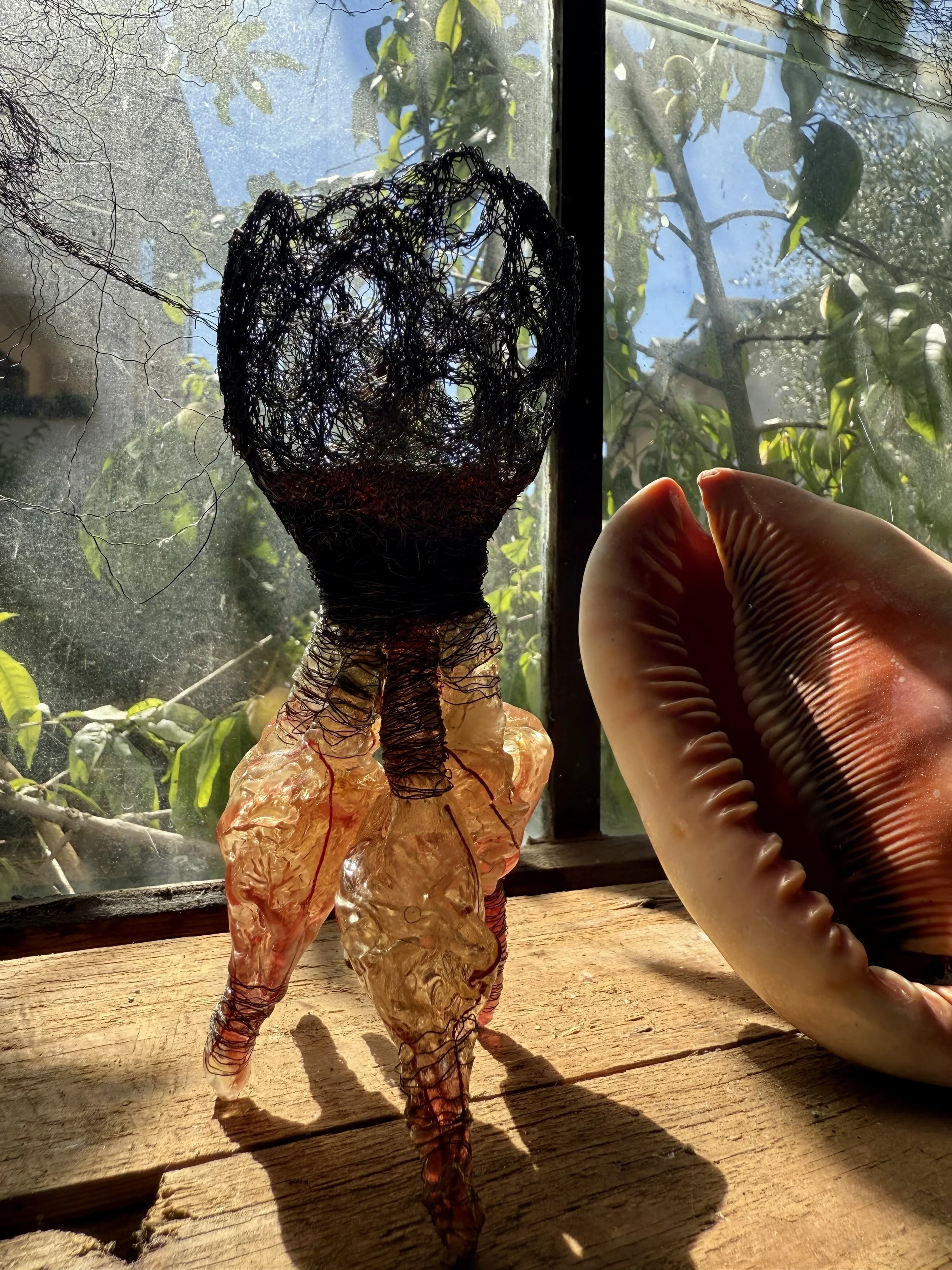 Miscanthus - La menuiserie