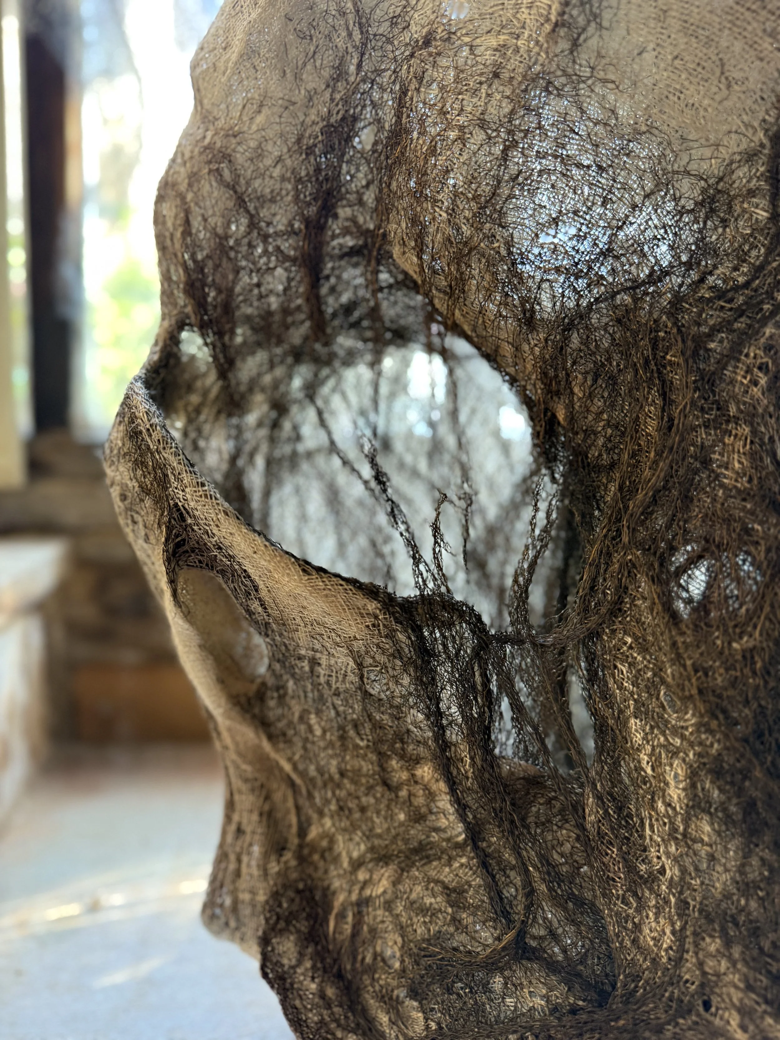 Fantaisie pavillonnaire 2025 - La menuiserie