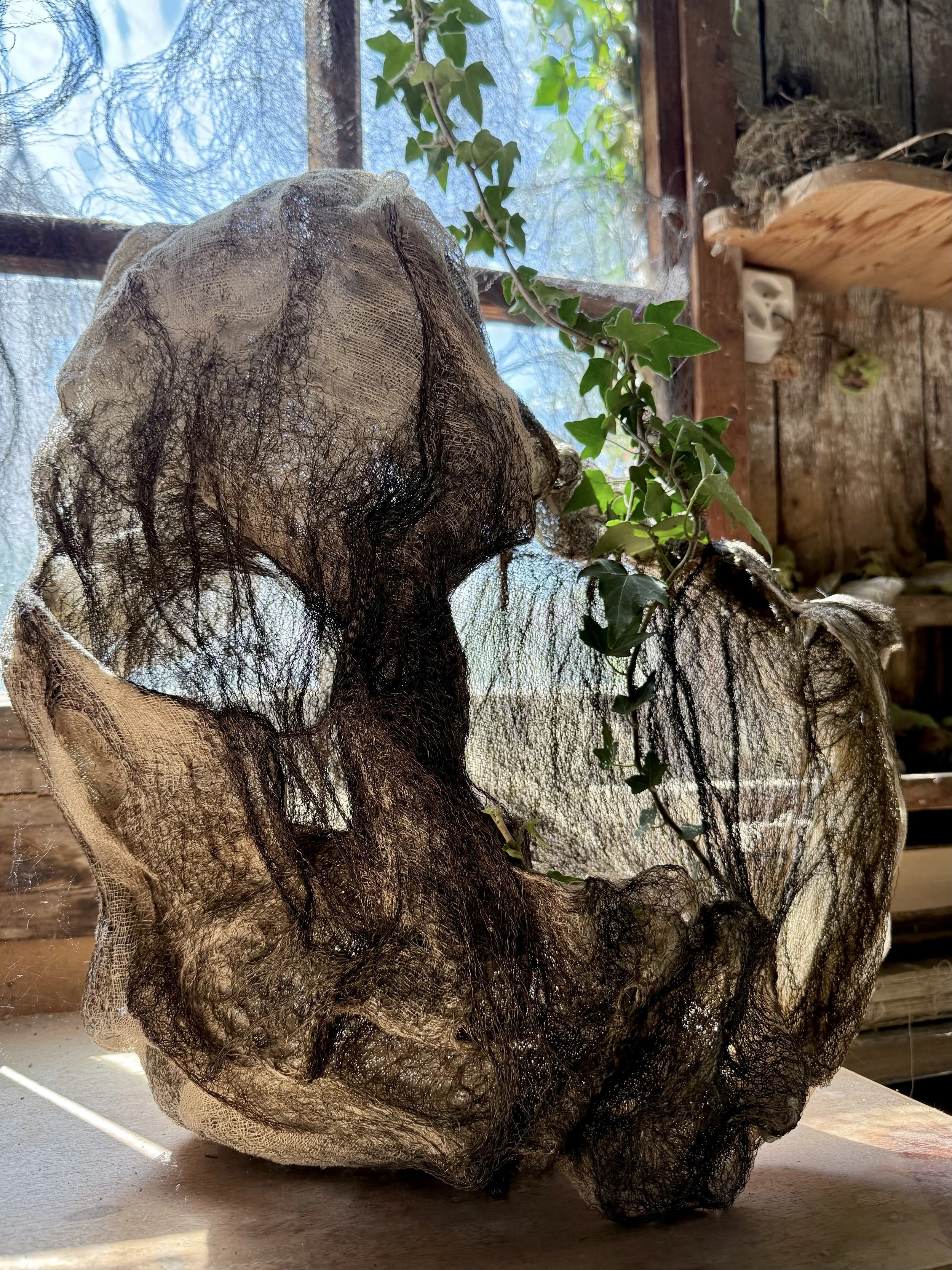 Fantaisie pavillonnaire 2025 - La menuiserie