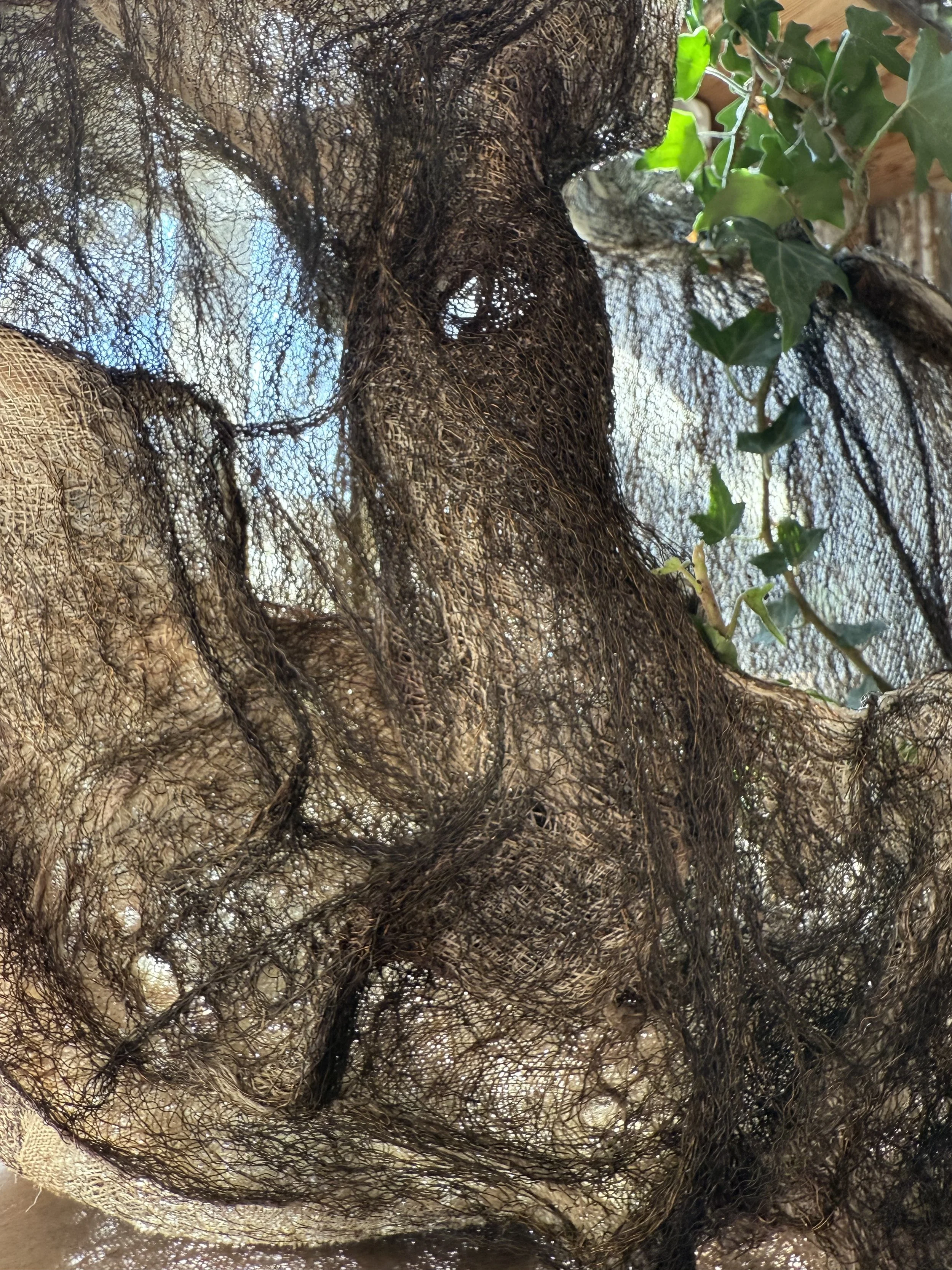 Fantaisie pavillonnaire 2025 - La menuiserie