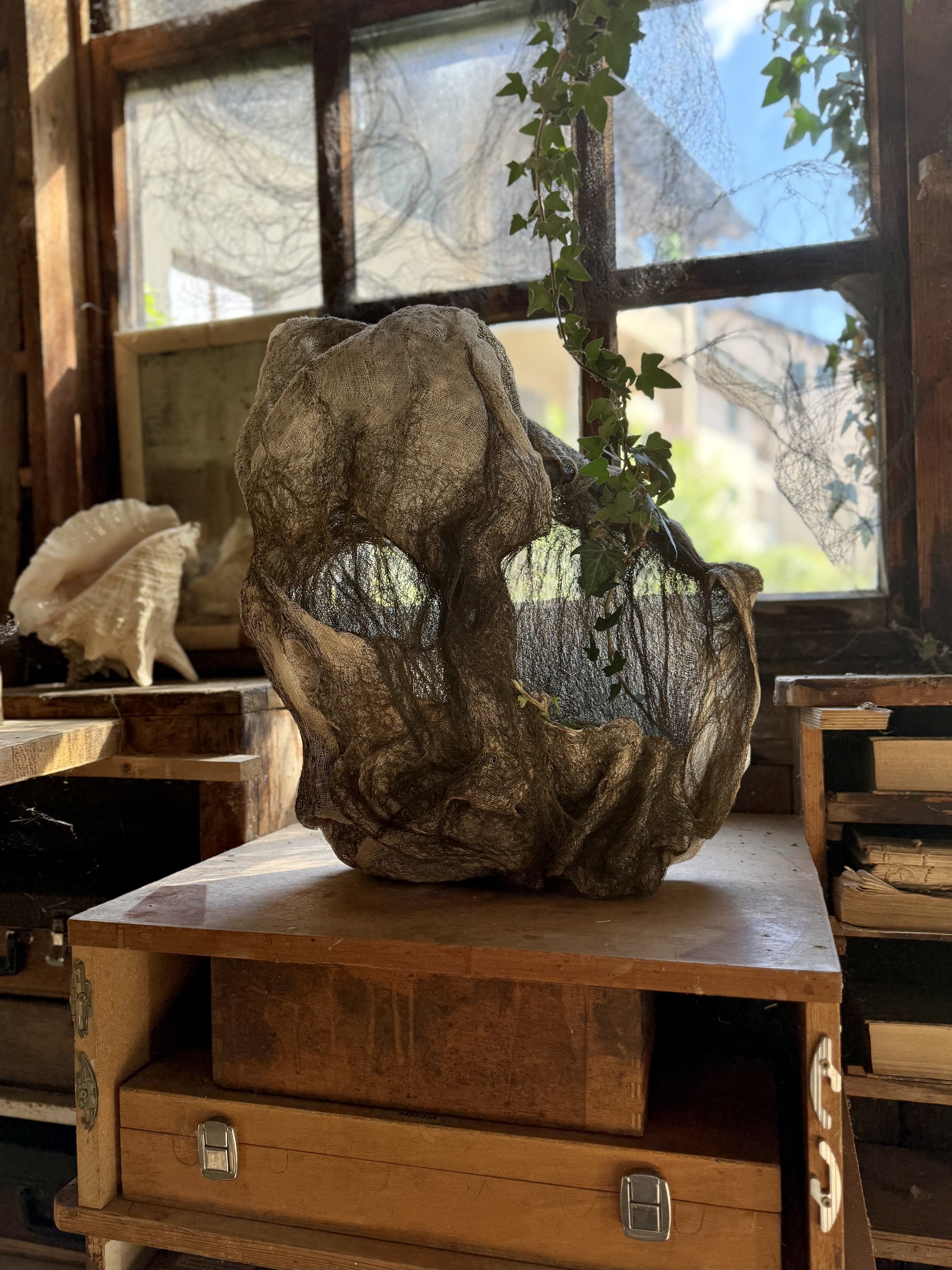 Fantaisie pavillonnaire 2025 - La menuiserie