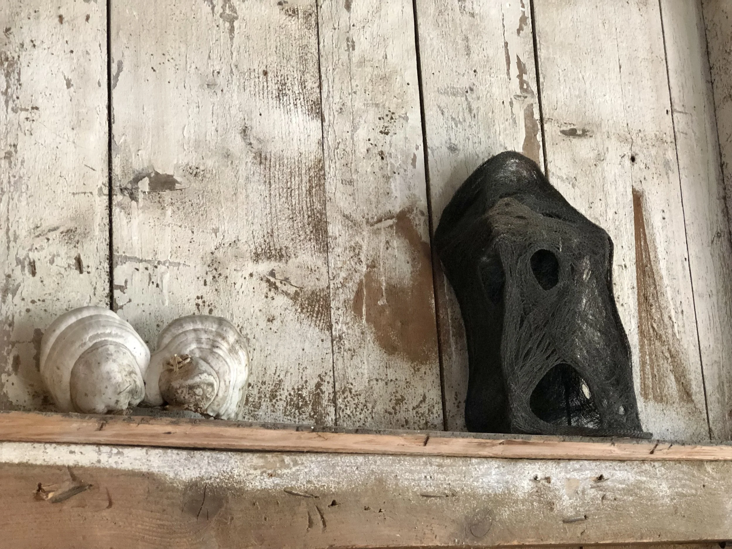 Philaeus - La menuiserie