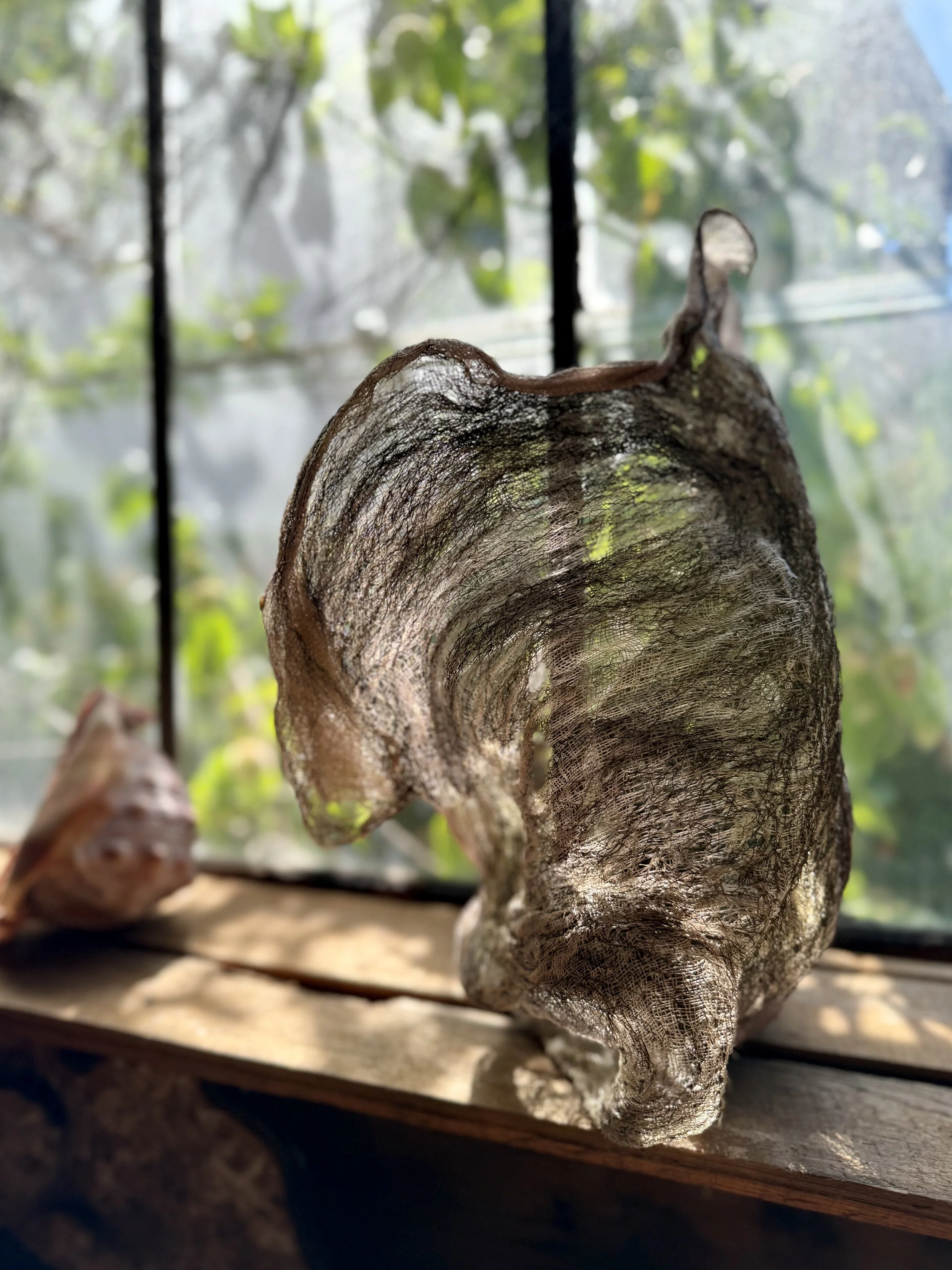 Tridacna 2025 - La menuiserie