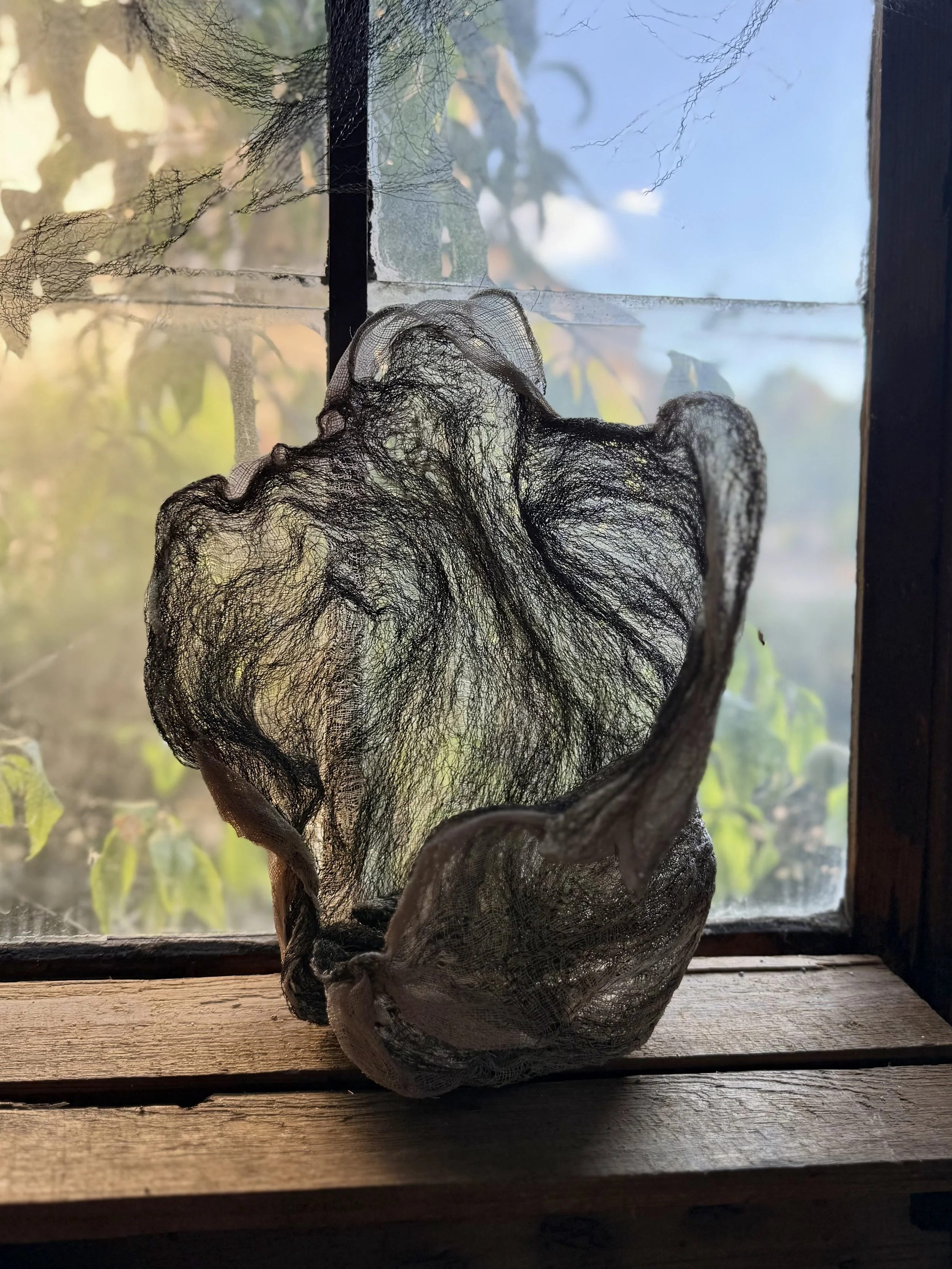 Tridacna 2025 - La menuiserie