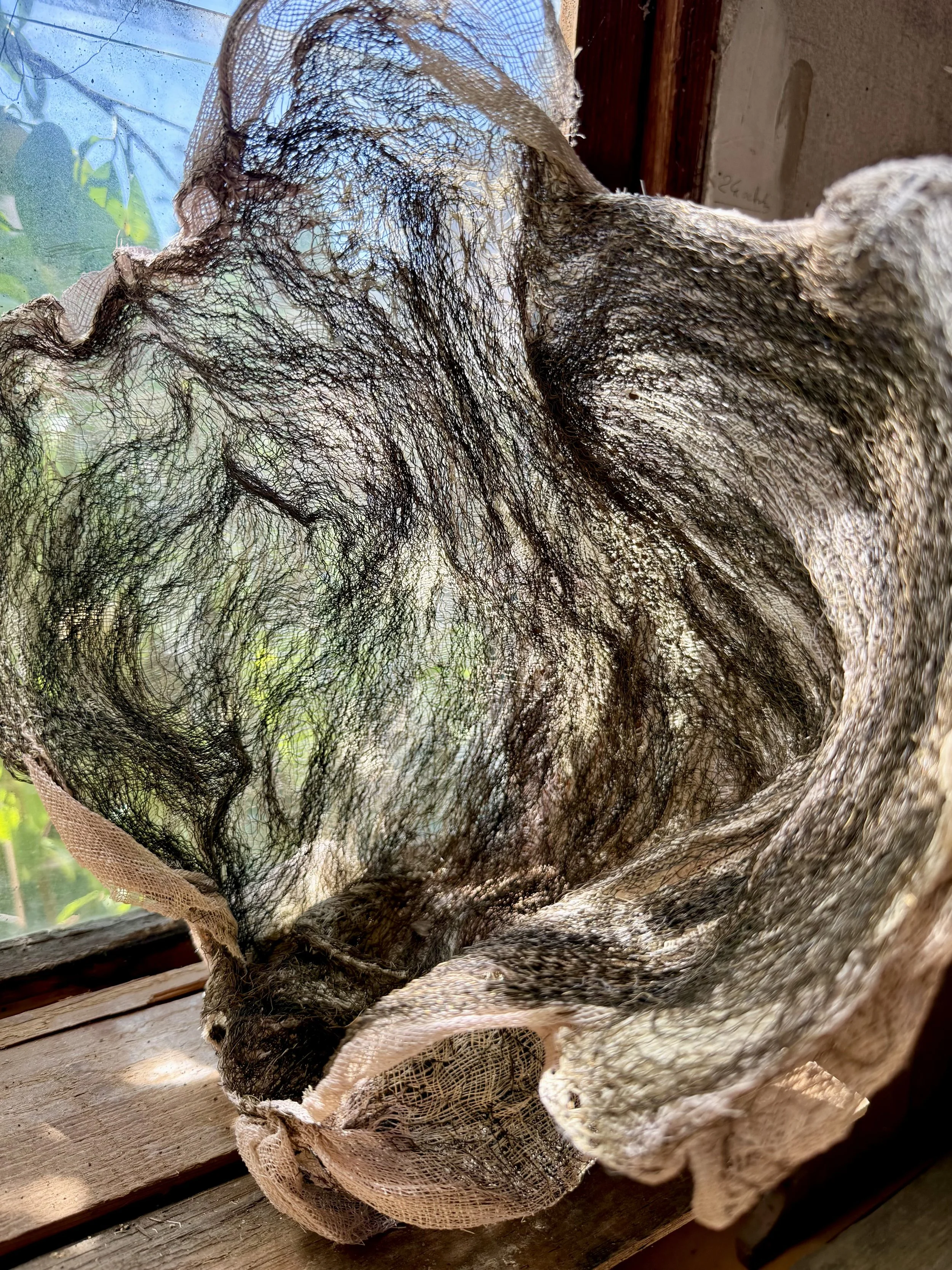 Tridacna 2025 - La menuiserie