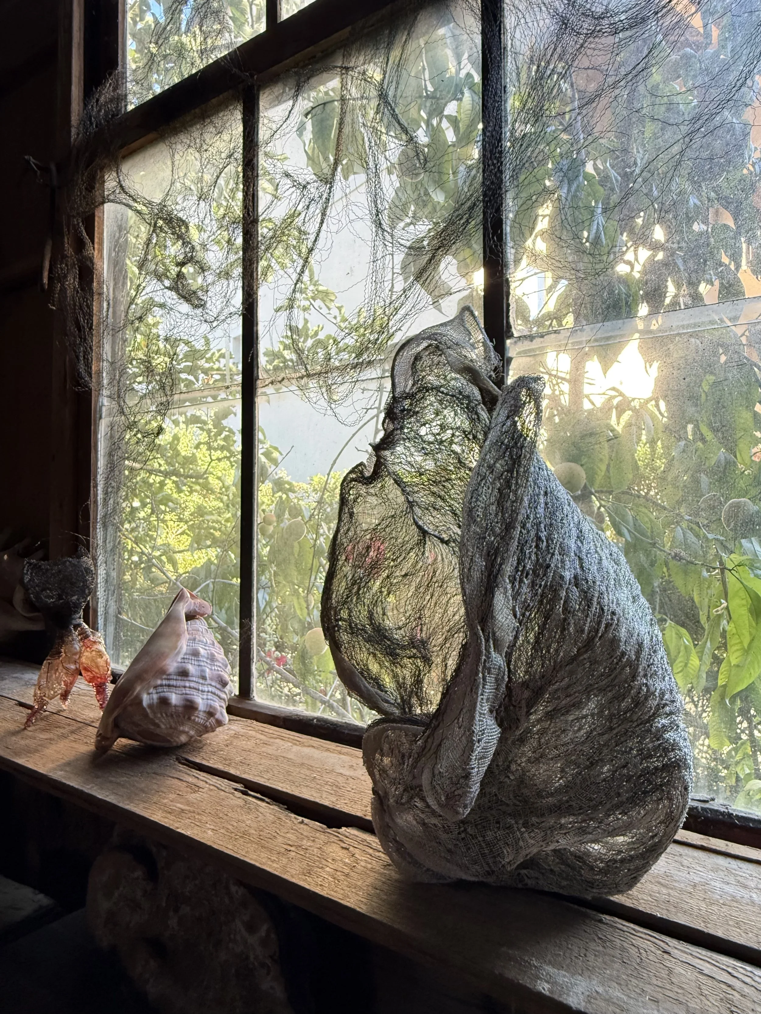 Tridacna 2025 - La menuiserie