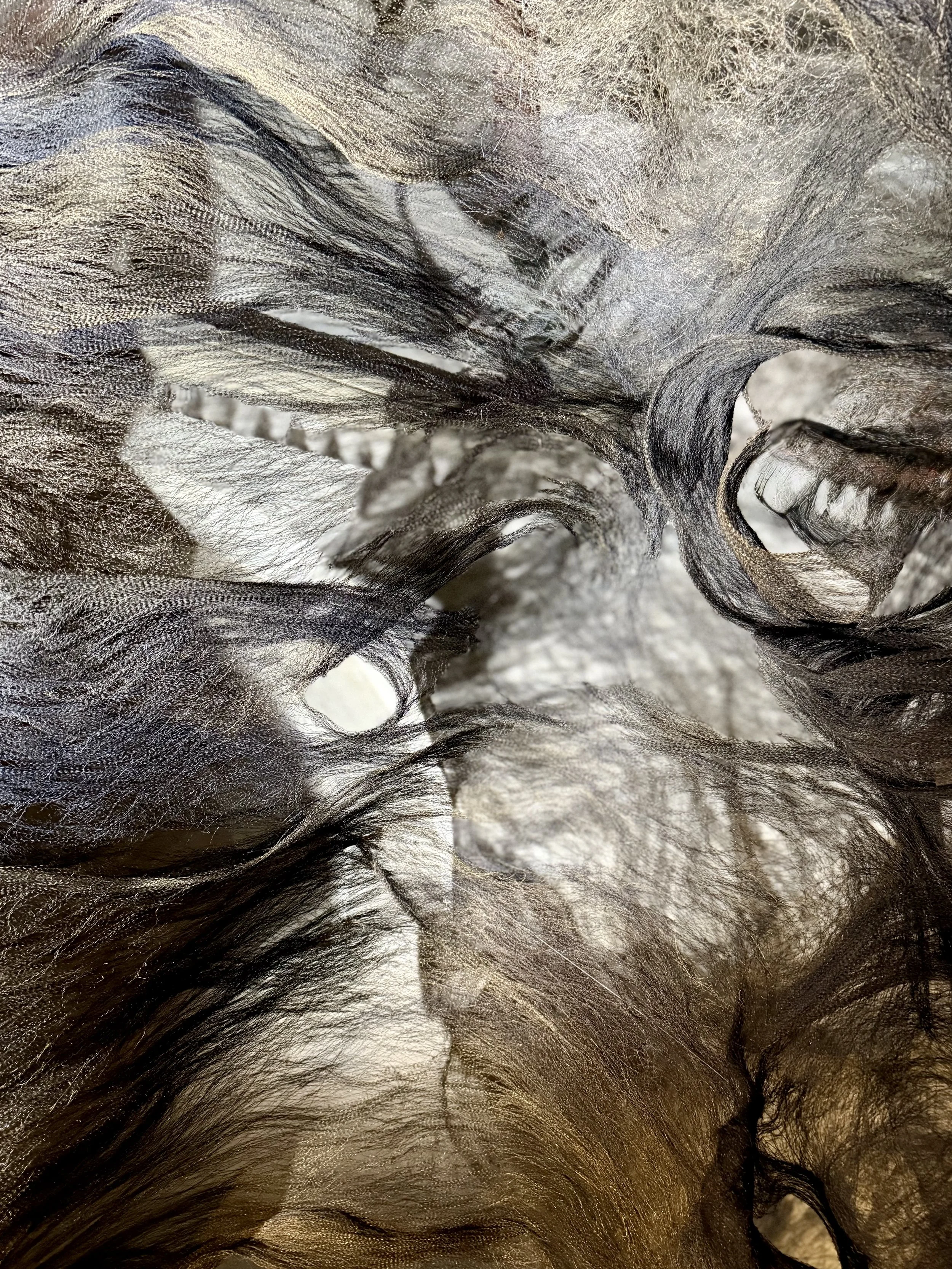 En apesanteur 2025 - Partage des arts