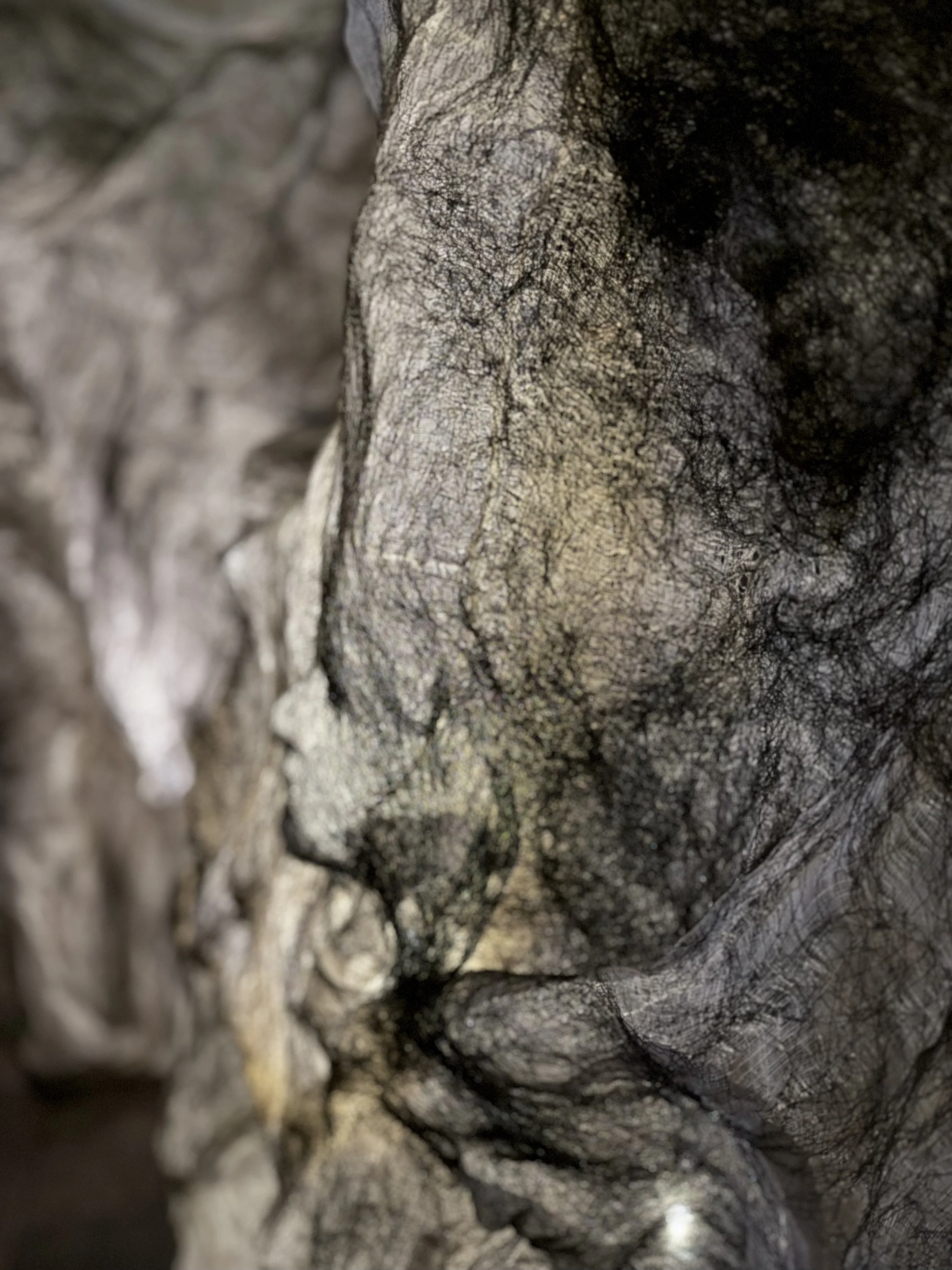 Le dos du monde 2025 - Partage des arts