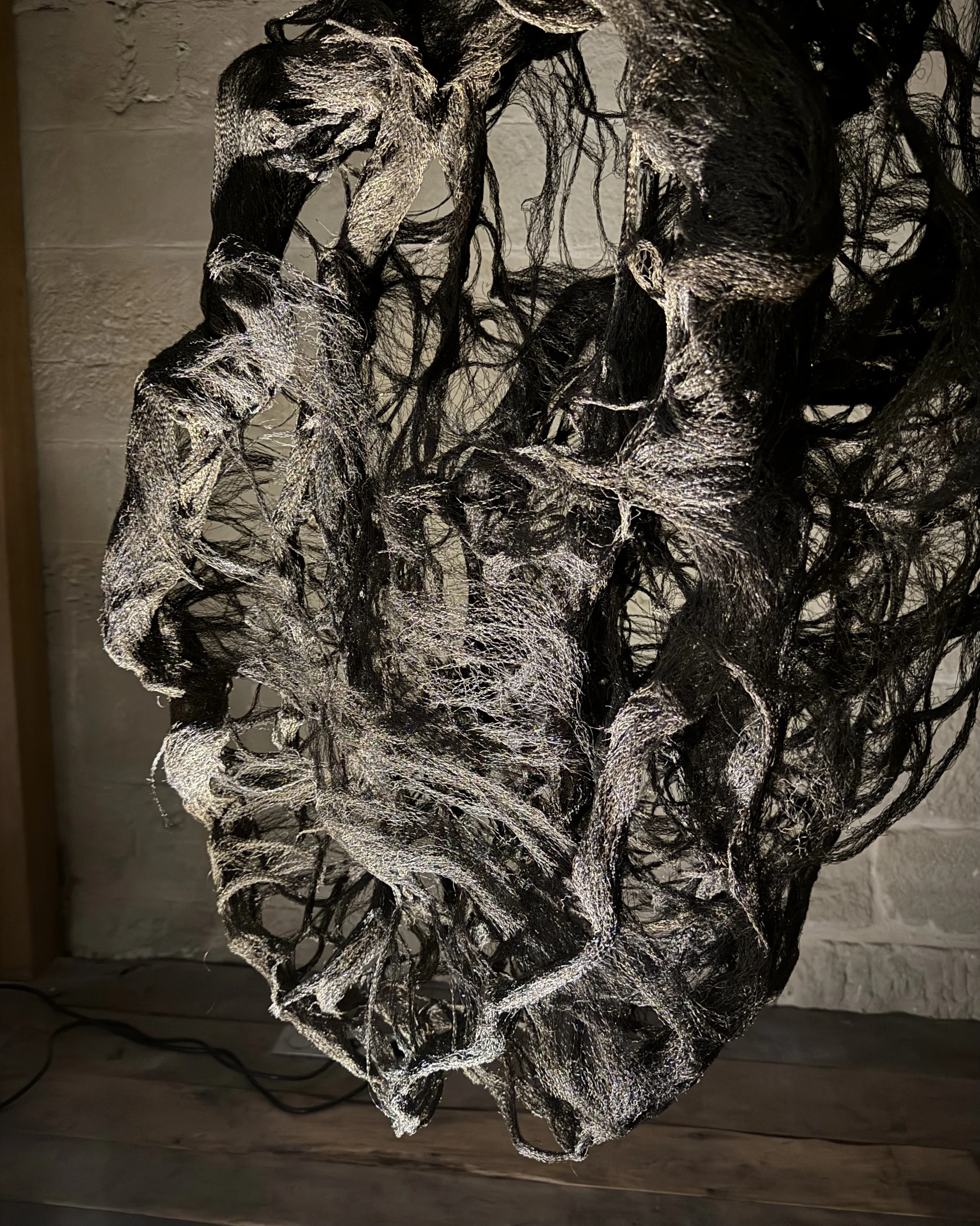 Cadencia 2025  - Partage des arts