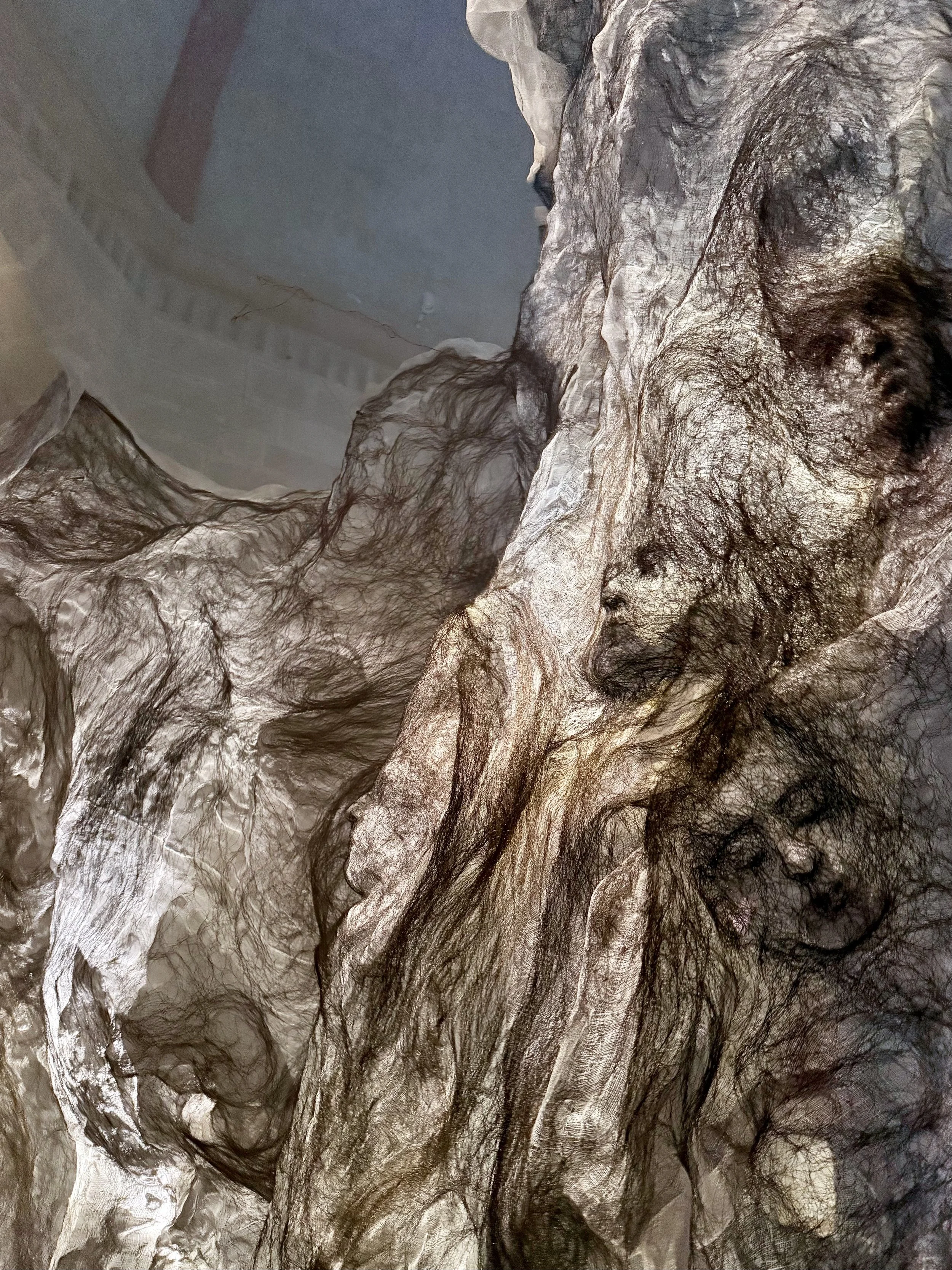 Le dos du monde 2025 - Partage des arts