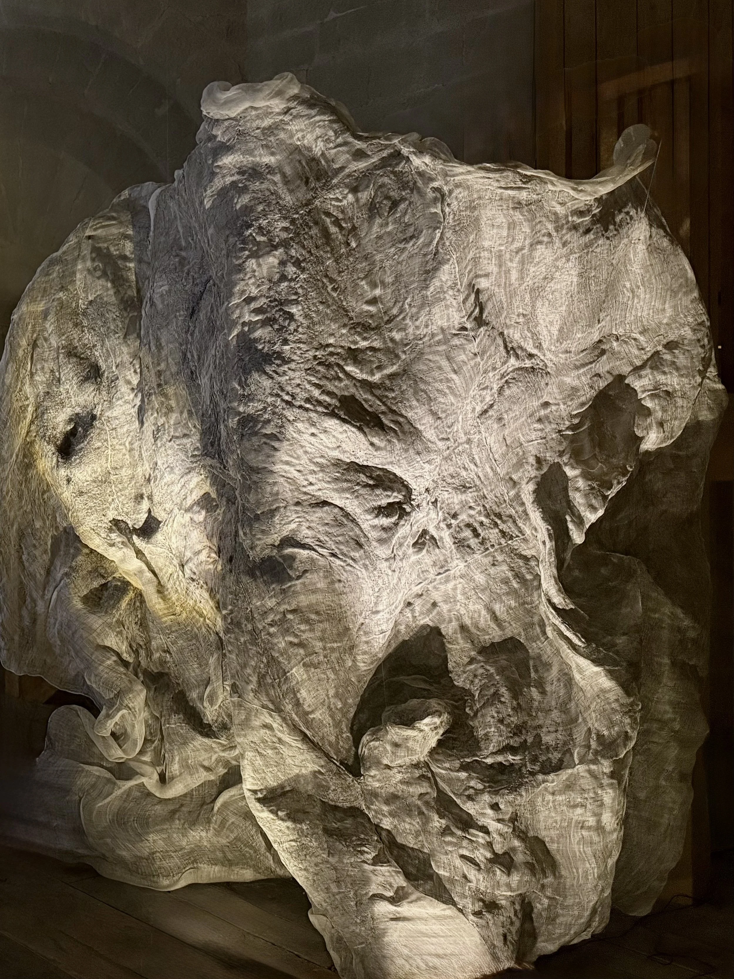 Le dos du monde 2025 - Partage des arts