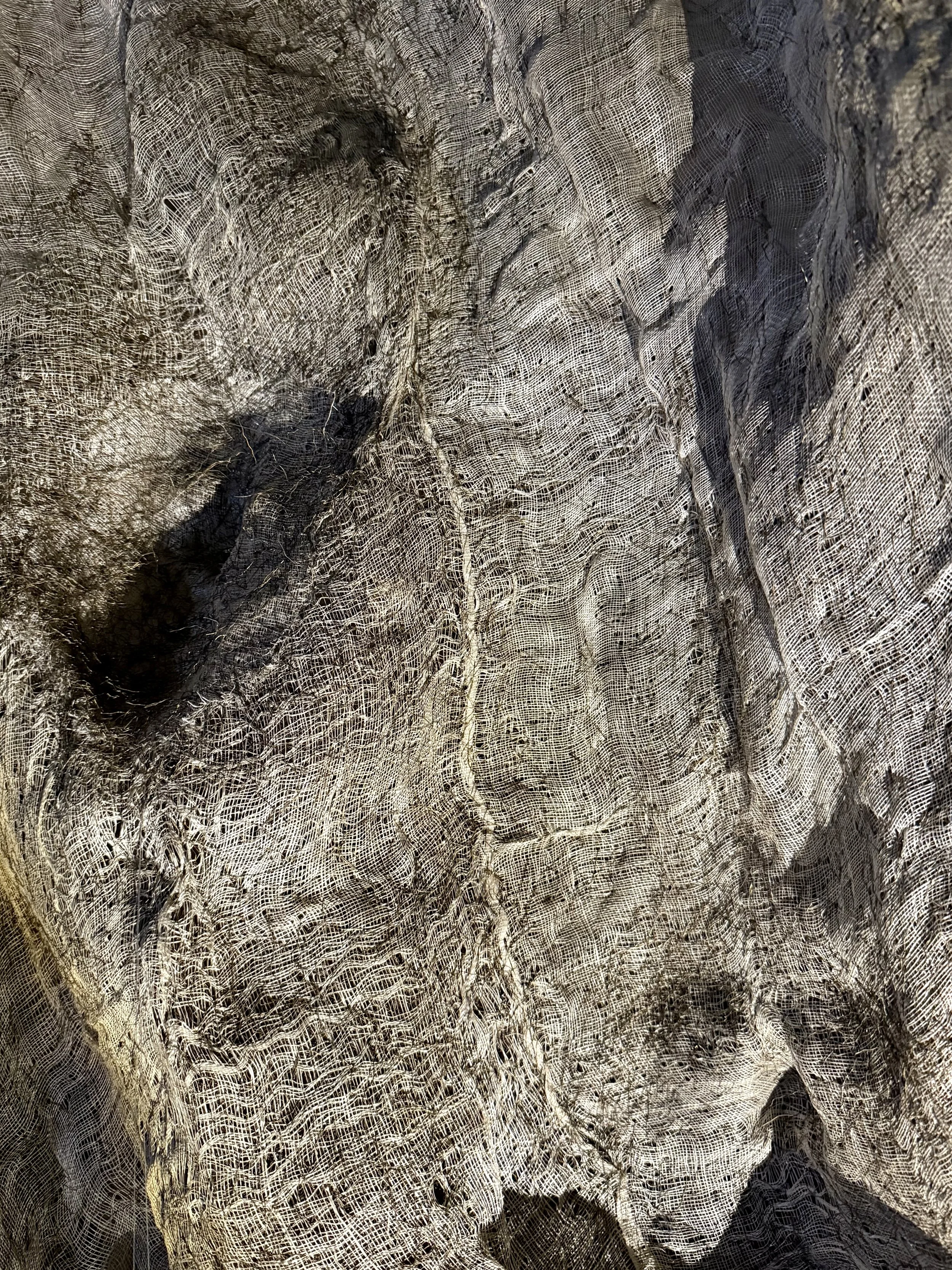 Le dos du monde 2025 - Partage des arts