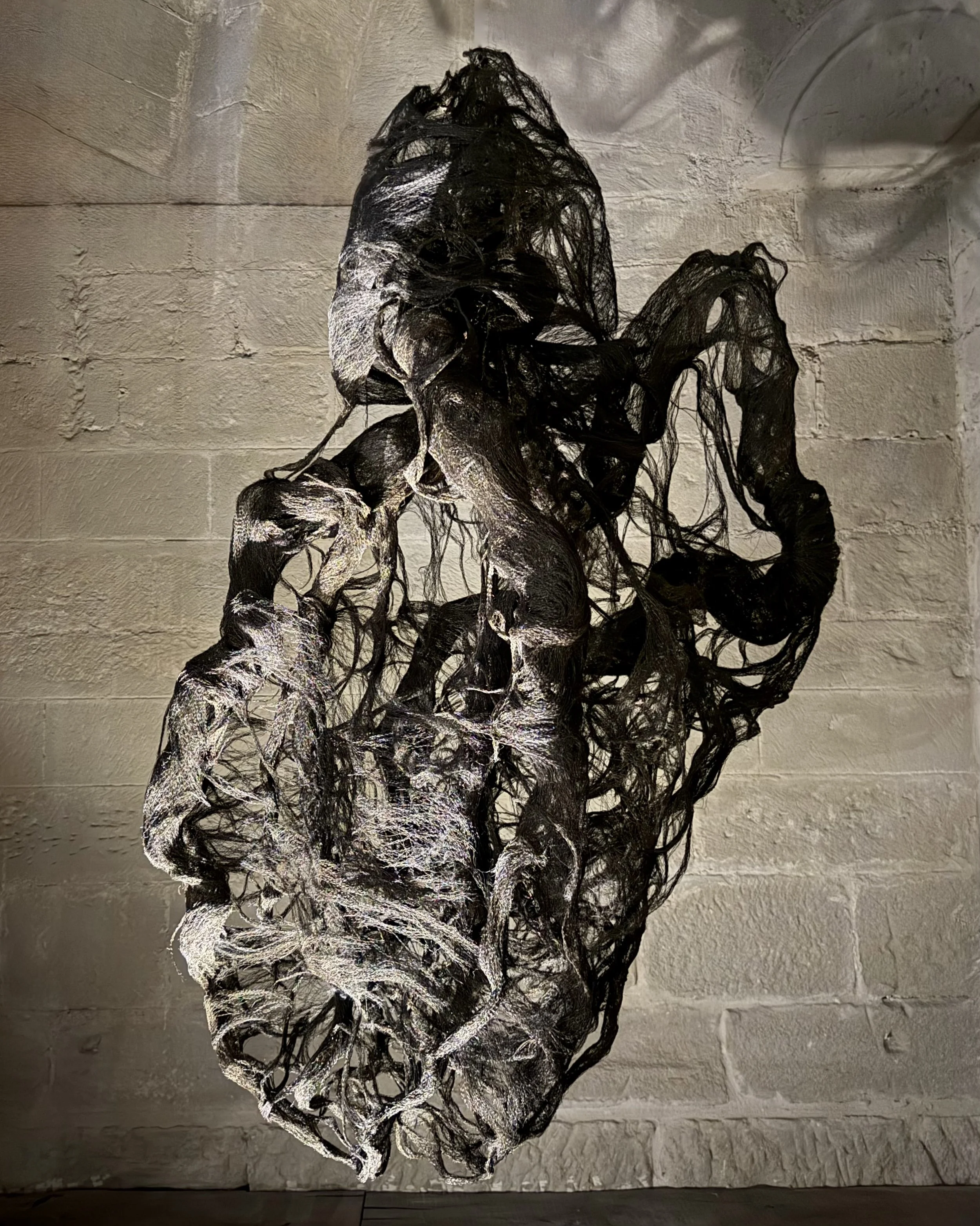 Cadencia 2025  - Partage des arts