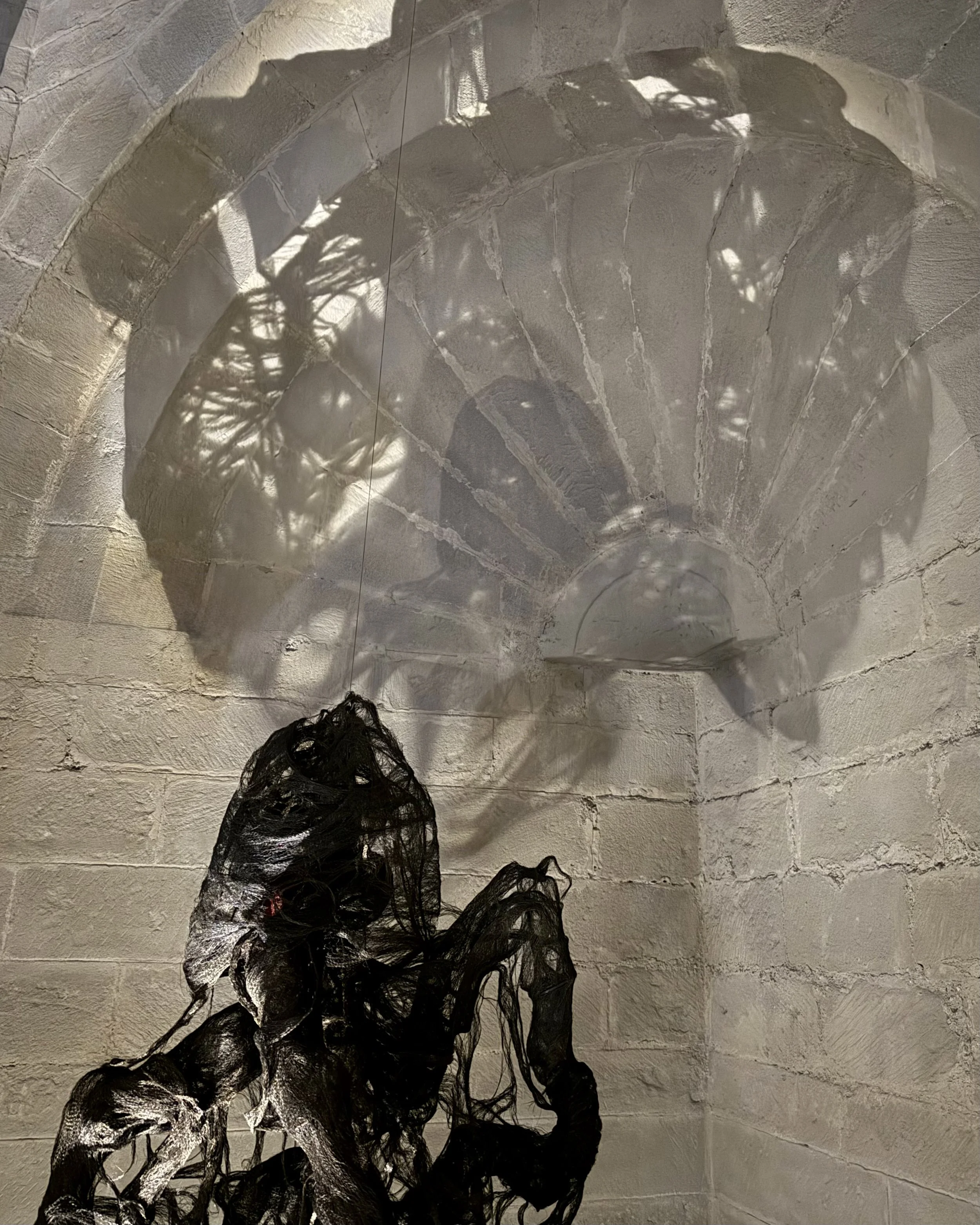 Cadencia 2025  - Partage des arts