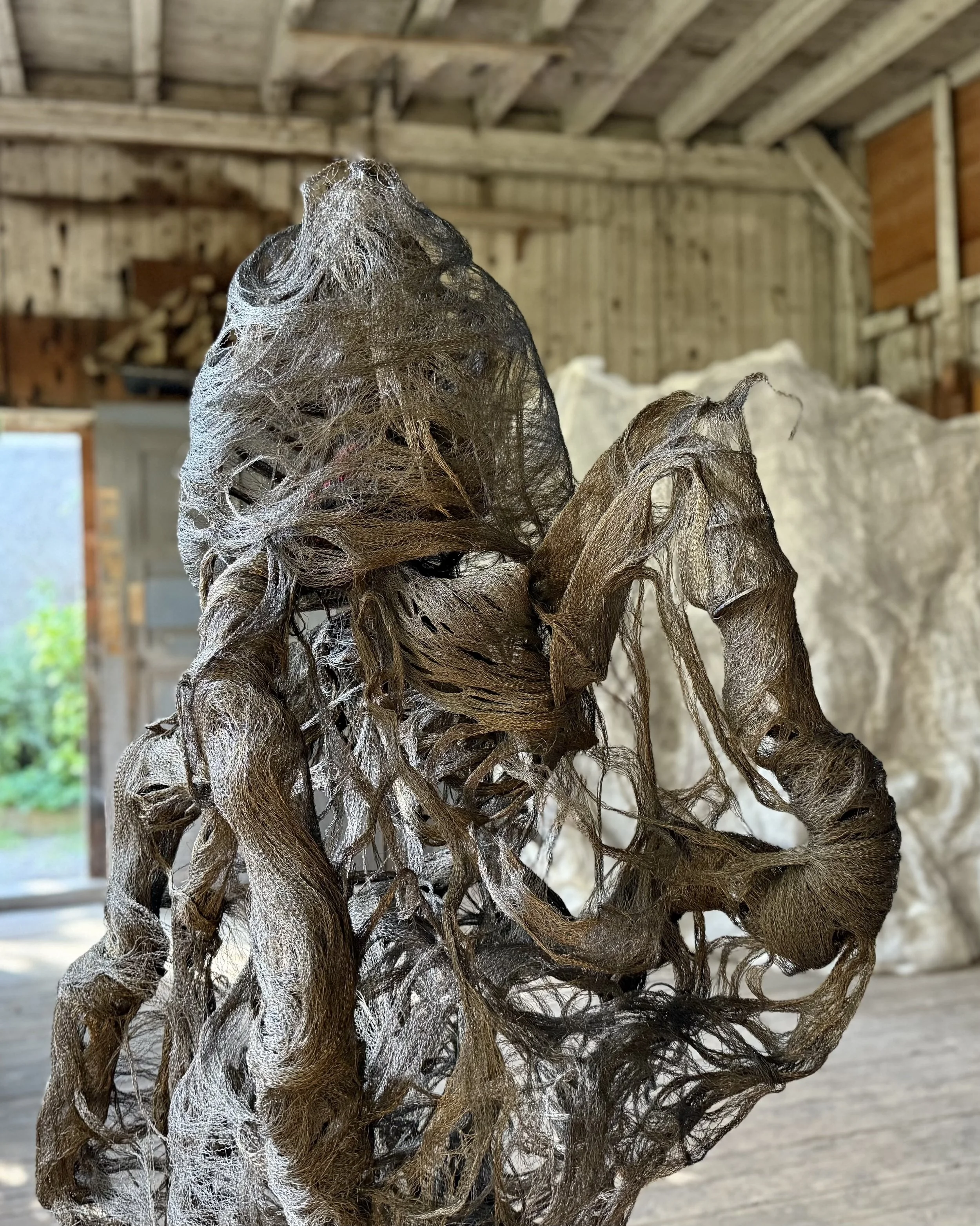 Cadencia 2025 - La menuiserie