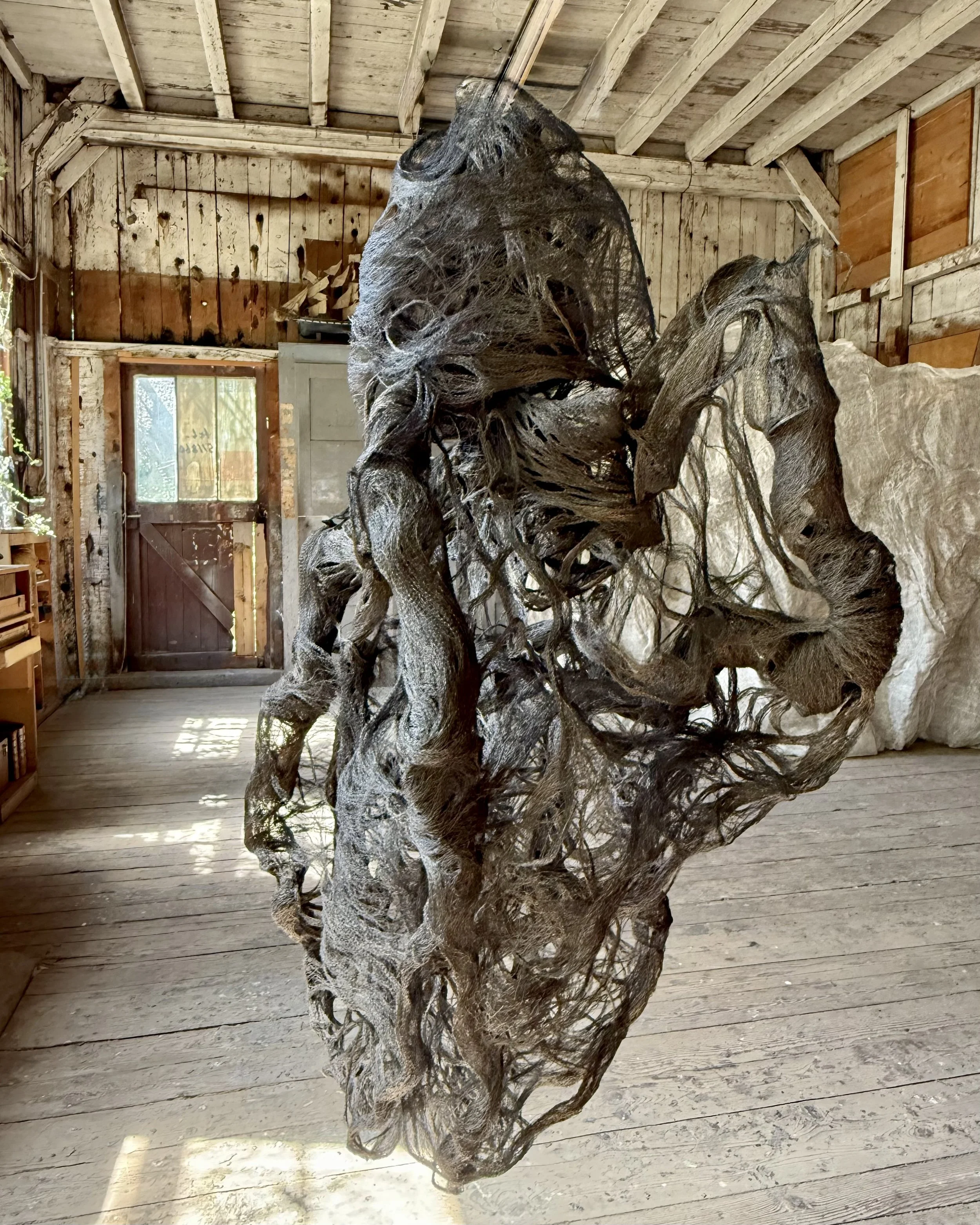 Cadencia 2025 - La menuiserie