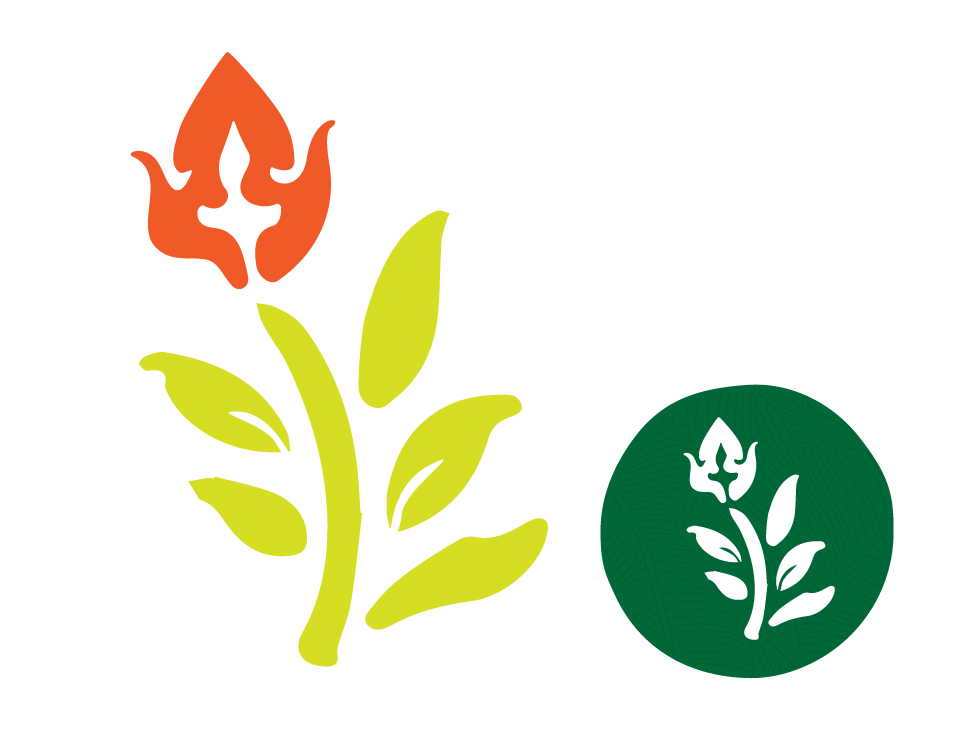 The Symbol