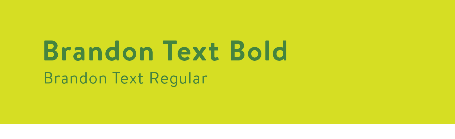 Typography