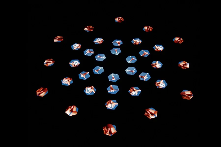 SWARM BOTS