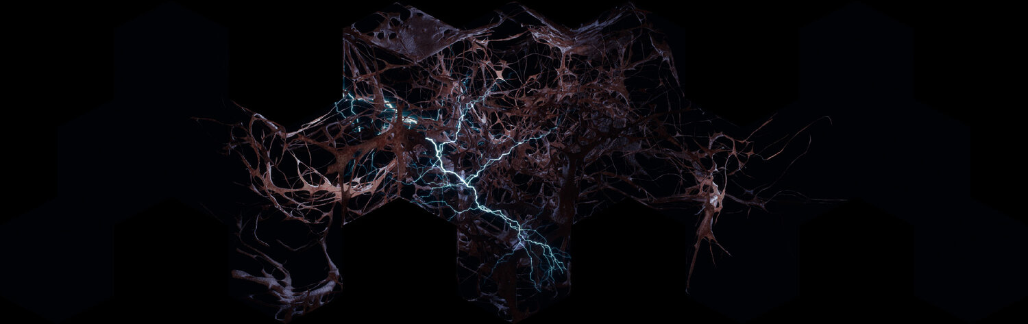 ORGANIC_LOOK01--lightning (0-00-11-01).jpg