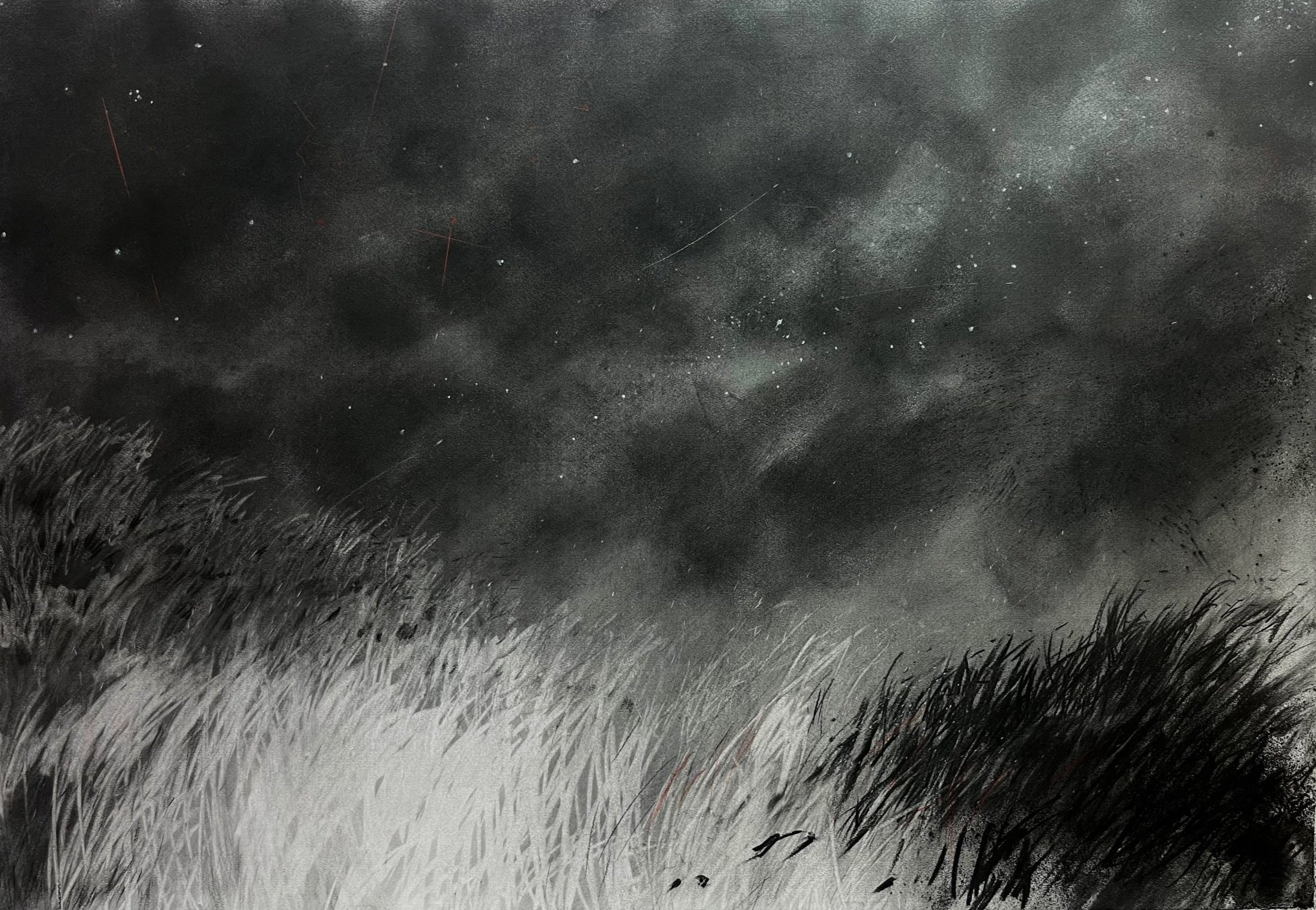 Stefan Raubenheimer, Nightwalk, 2025