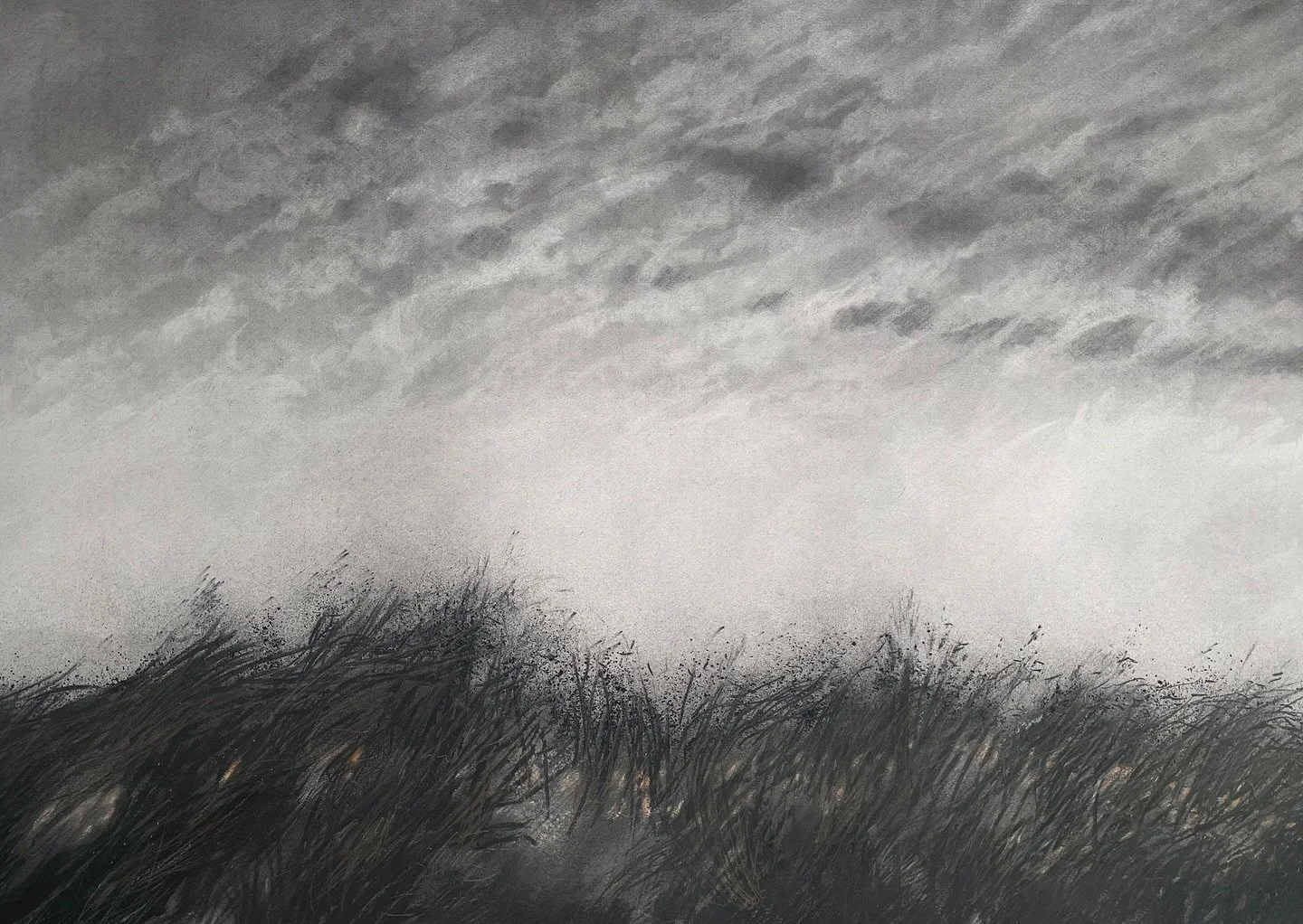 ArtThrob Student Review
After the Anthropocene: Stefan Raubenheimer&rsquo;s &lsquo;Remember This Land&rsquo; at AVA Gallery by Drew Haller @drewkendallhaller @stefanraubenheimer @artthrobcoza 

&ldquo;Remember this Land exists in memoriam of the land