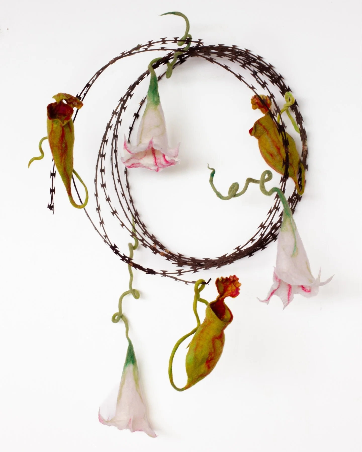 Artist in Focus: Hannah Macfarlane @hannahmacfarlane.studio 

Hannah Macfarlane (b.1996) is a Cape Town-based artist who works experimentally at the intersection of fine art and craft. Macfarlane explores the intersections between the natural world, 