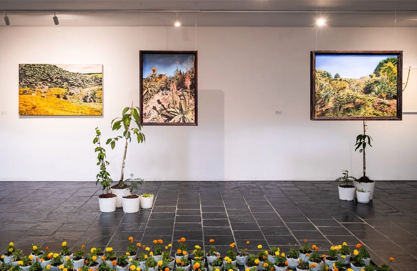 Curator-led Walkabout Tomorrow
Wednesday 21 January | 6 for 6:30 pm

As we near the end of our current exhibitions, we invite you to join us for a curator led walkabout of As Natural As Daylight: Plants, Memory and The Edge of Belonging, a group show