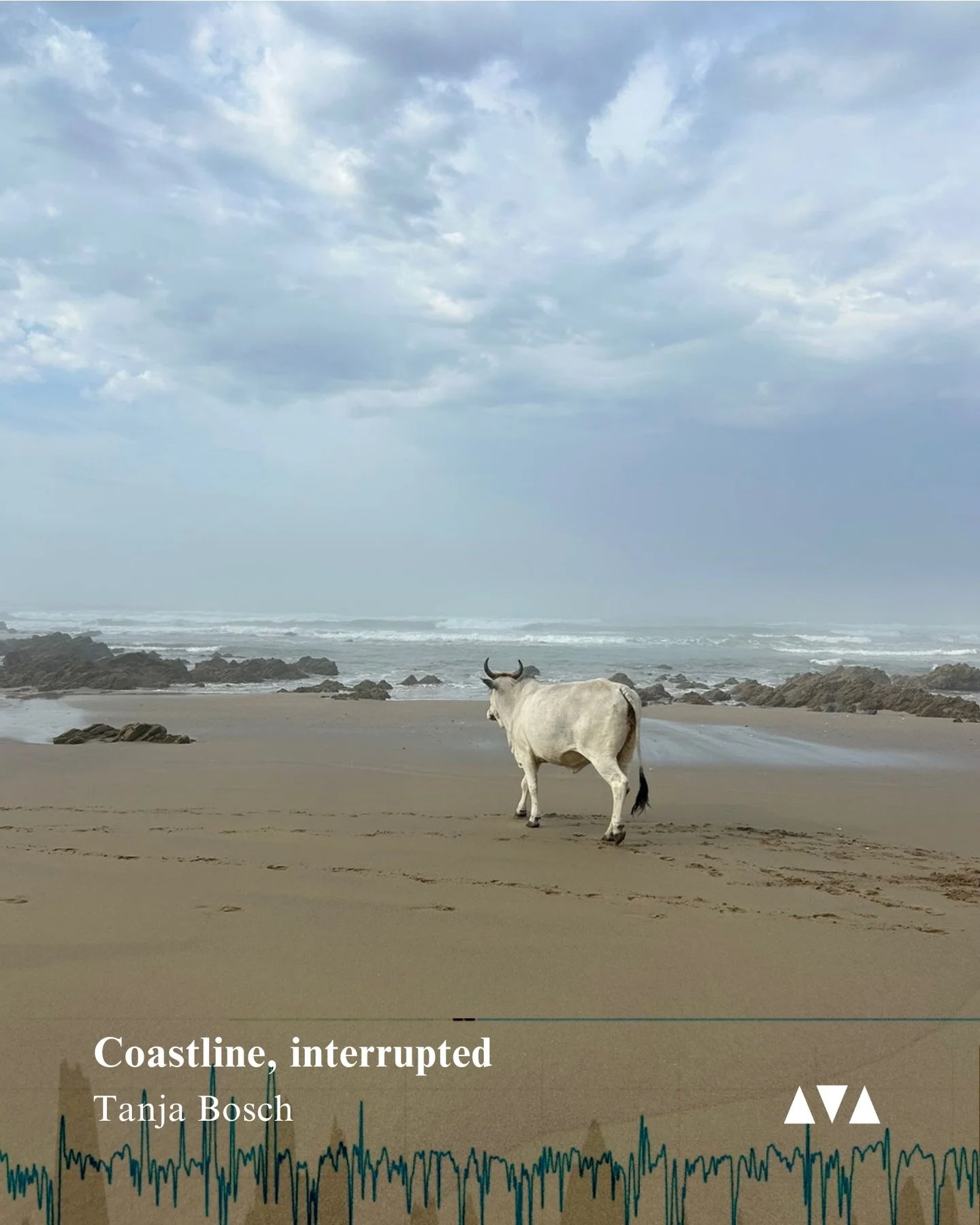 Exhibition Opening 
Thursday 29 January 
5pm - 8pm

Please join us this evening as we celebrate the opening of Coastline, interrupted By&nbsp;Tanja Bosch&nbsp;@hikingnerd76 

Coastline, interrupted brings film, photography, and walking-based research