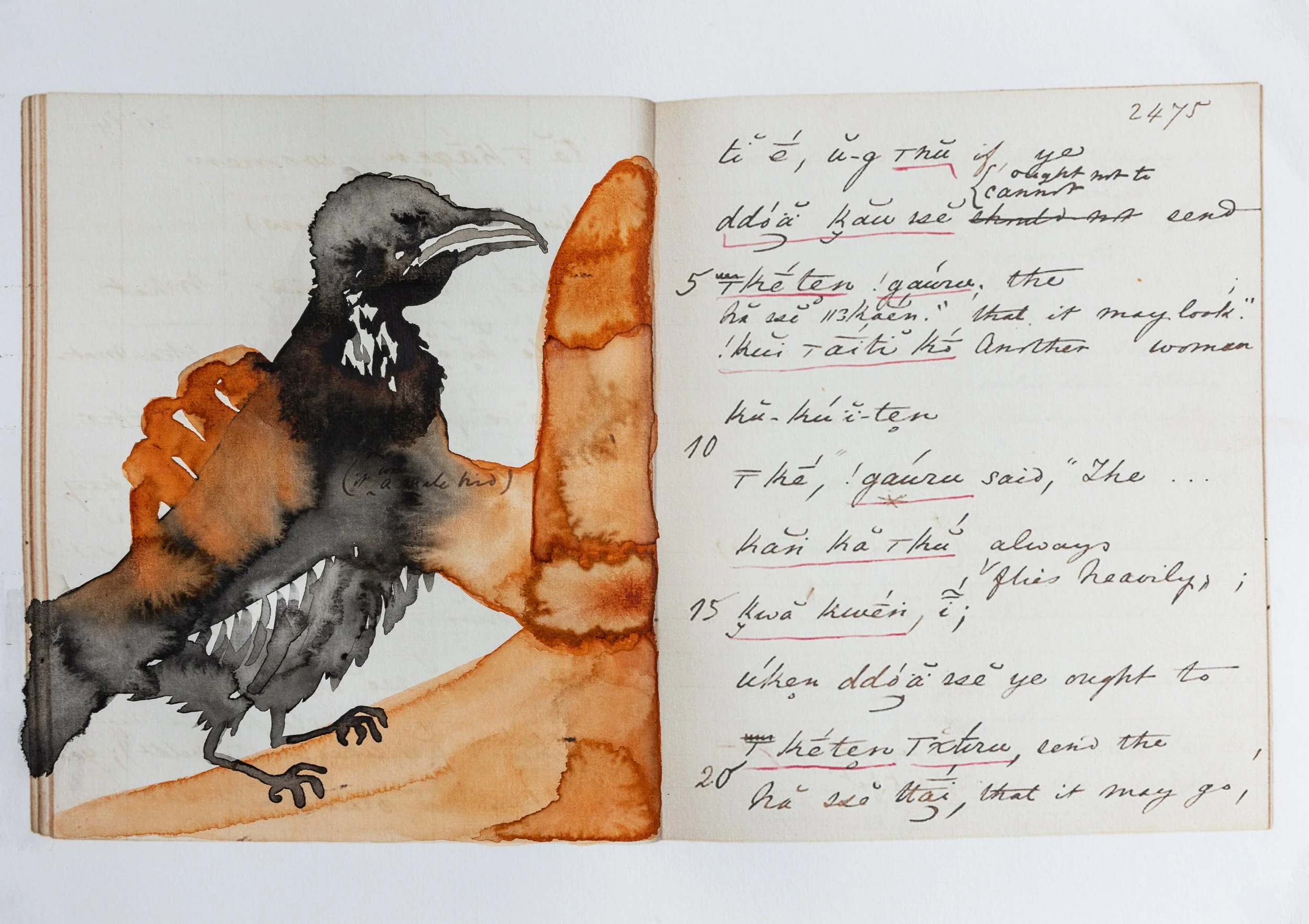 The Crow Messengers_3_Judith Westerveld_Giovanni Nardi Photography.jpg