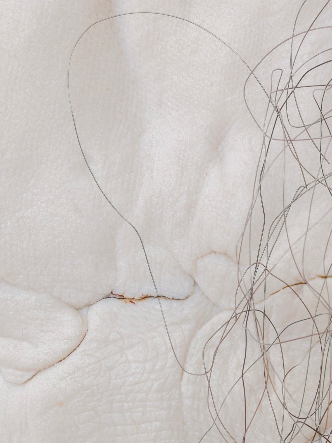 Exhibition Opening
Thursday 30 April | 5pm - 8pm

Please join us this Thursday as we celebrate the opening of Articulated Seams, a duo exhibition by Carola Friess @carolafriess and Kerry Lee Chambers @kerryleechambers_studio

Syntactically speaking, 