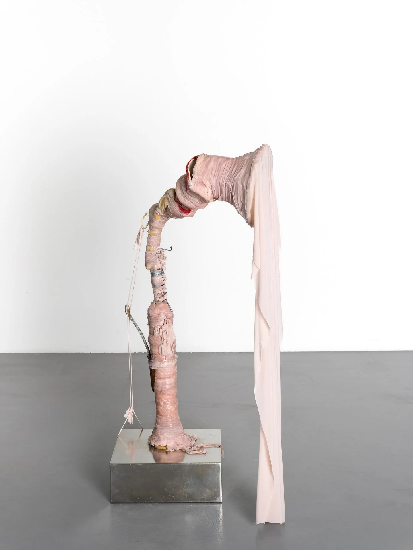 Carola Friess (b. 1987, Germany) is a Cape Town-based interdisciplinary artist working primarily in sculpture and drawing. She holds a BFA from the Muthesius Academy of Fine Arts and Design (2019) and an MFA from the University of Cape Town (2022).

