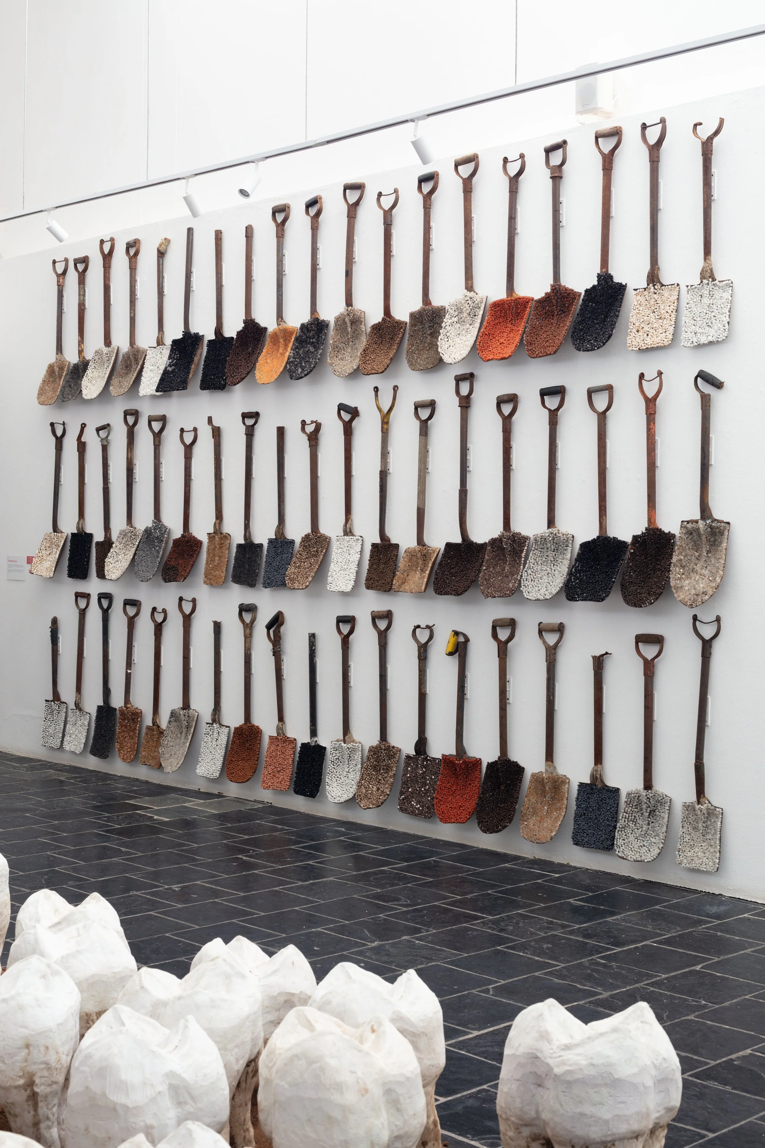Adelheid Frackiewicz, The Bottom Line, 2025 (Installation View)