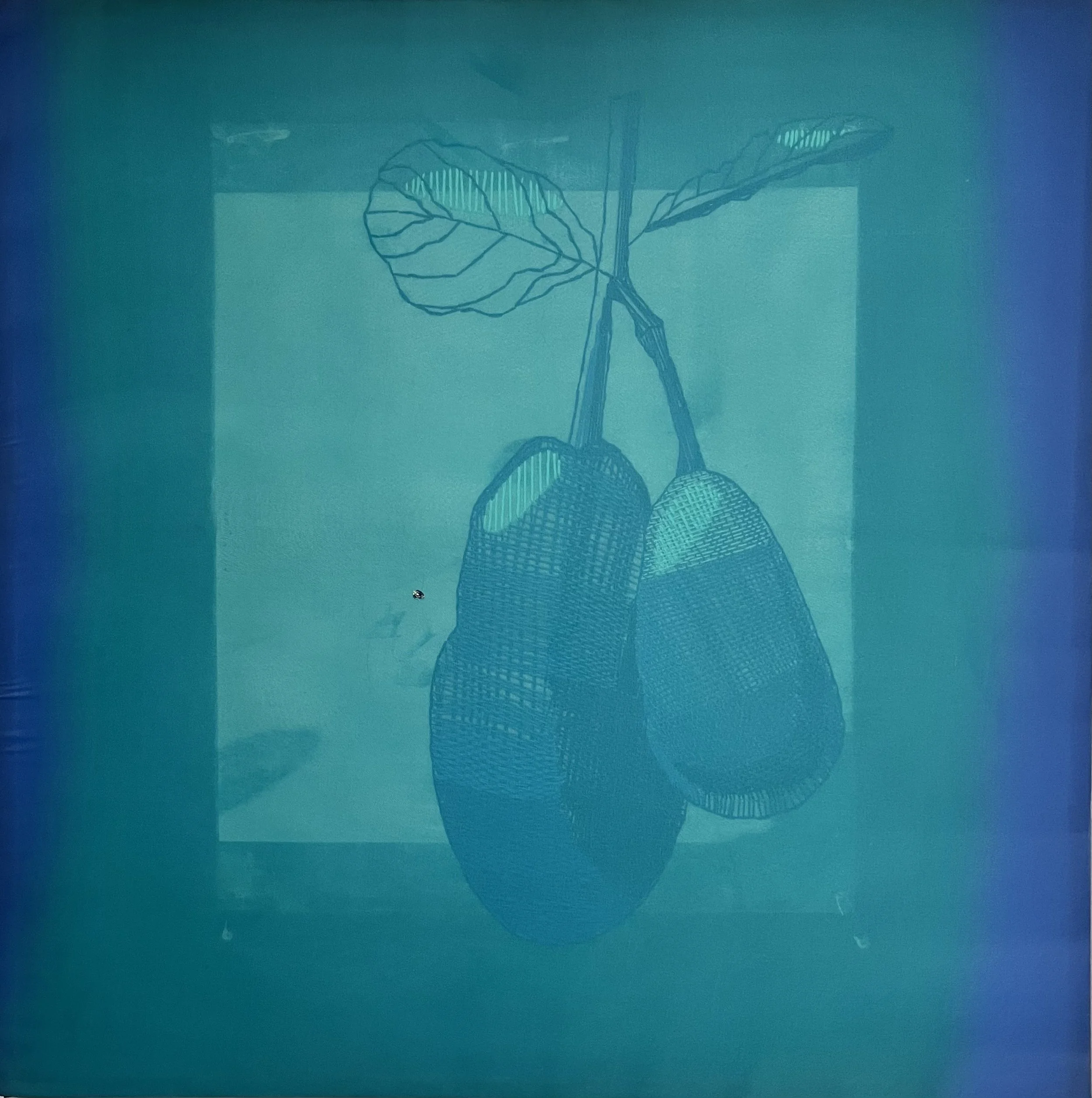Alka Dass, Expired, 2025