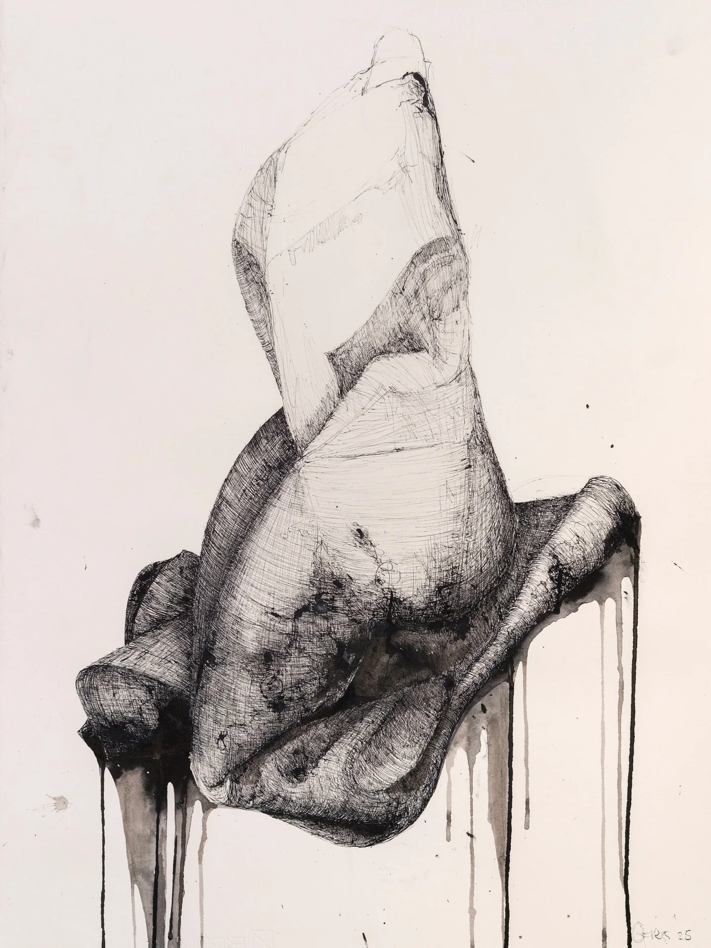 Carola Friess&rsquo; vocation as a surgical nurse is expressed in the somatic qualities of her compositions. 

In her series of drawings, Friess takes as subject the Baroque theatricality of surgical sheets, which serve not only to protect the patien