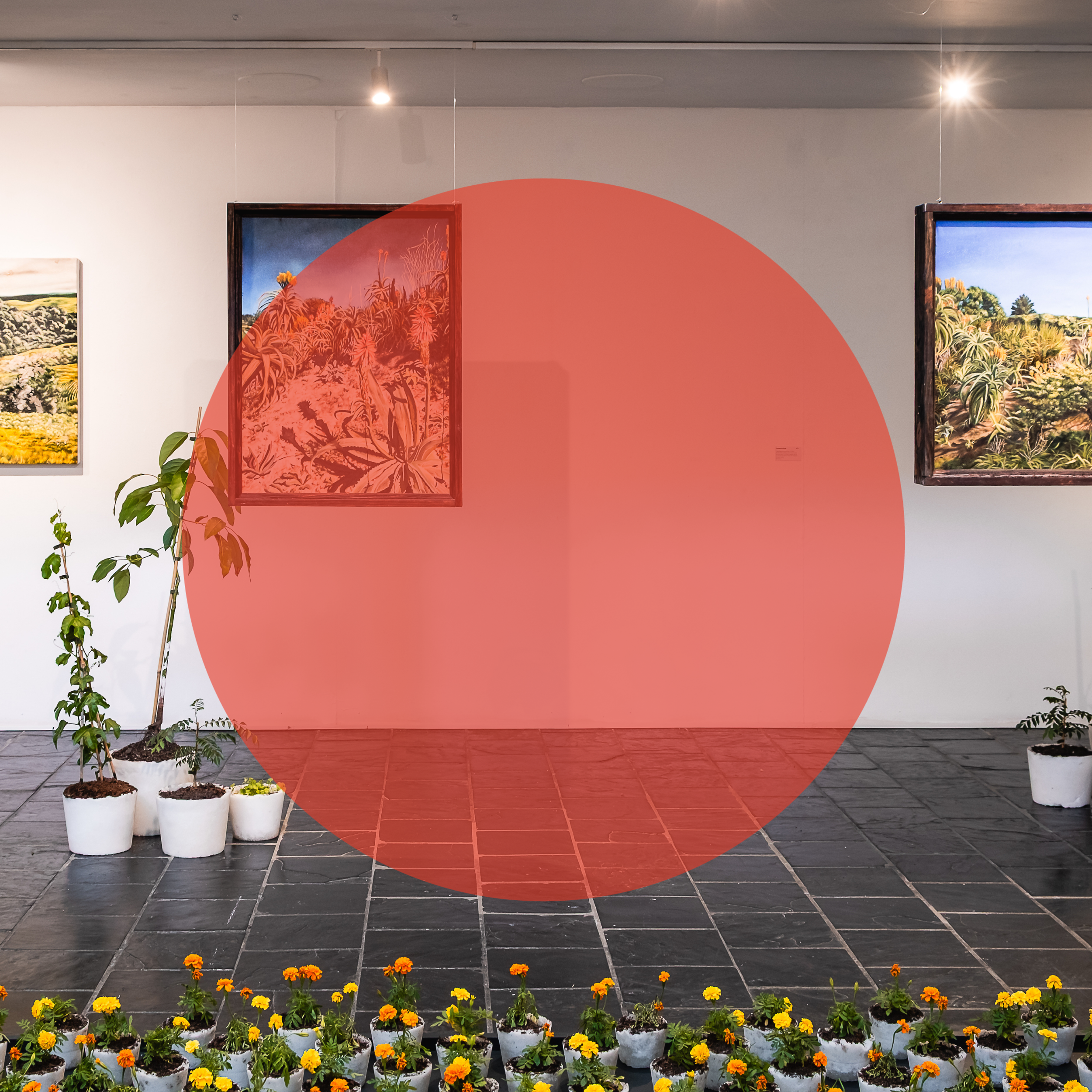 Squarespace Journal announcement sized circle sized.png