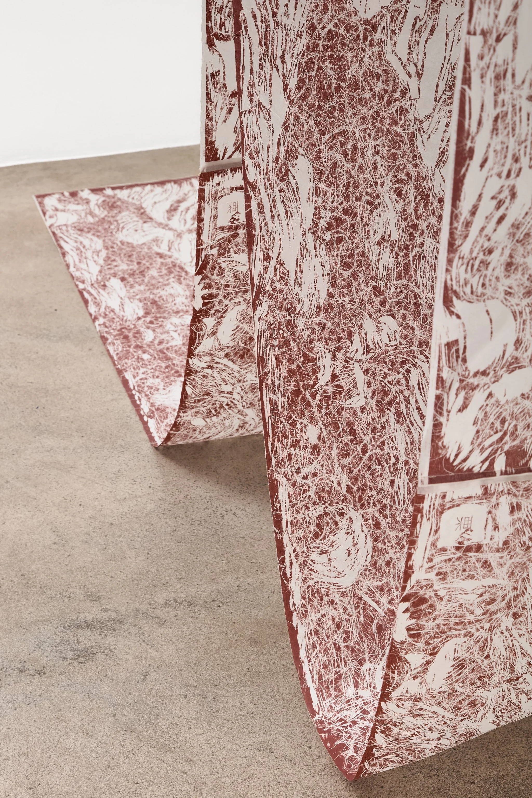 Residue of space in maroon oxide - detail 02.jpg